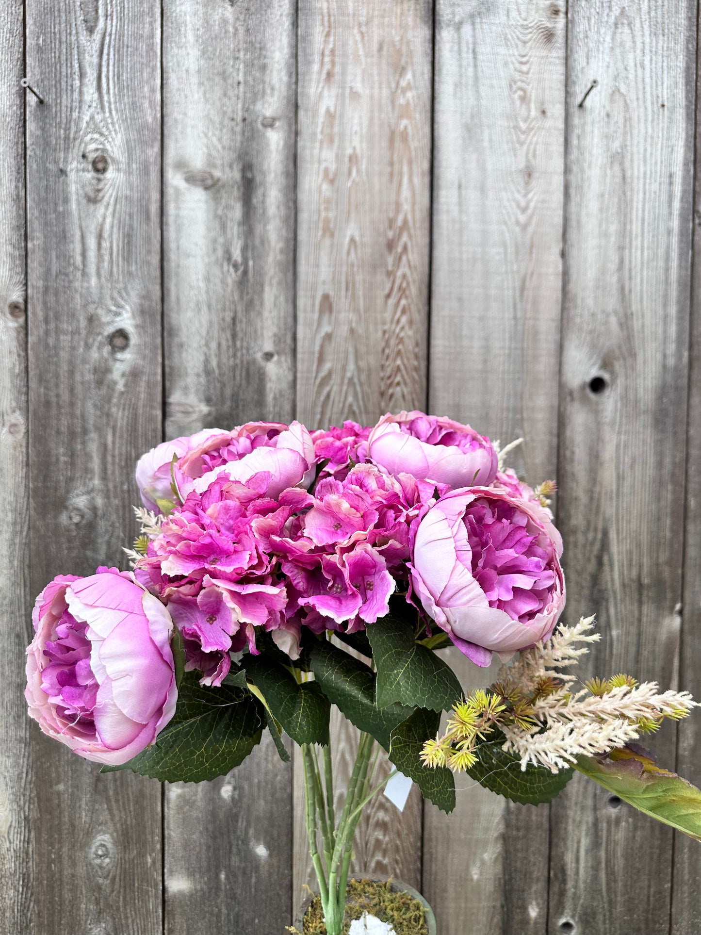 Peony Hydrangea Bush LV 20137-LV