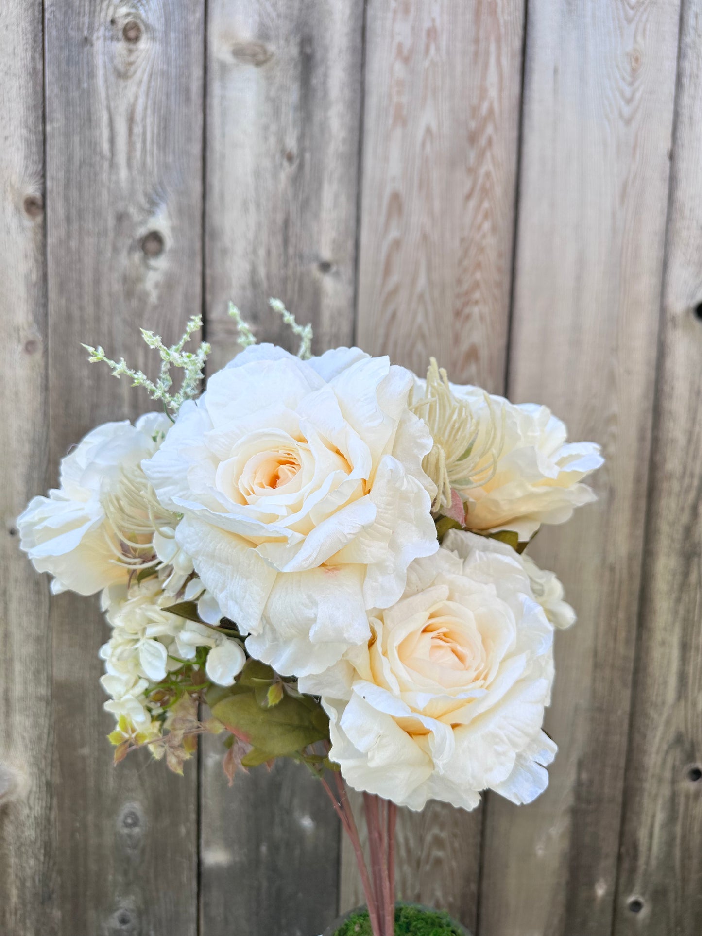 Peony/Daisy/Protea Bush Cream FB195135