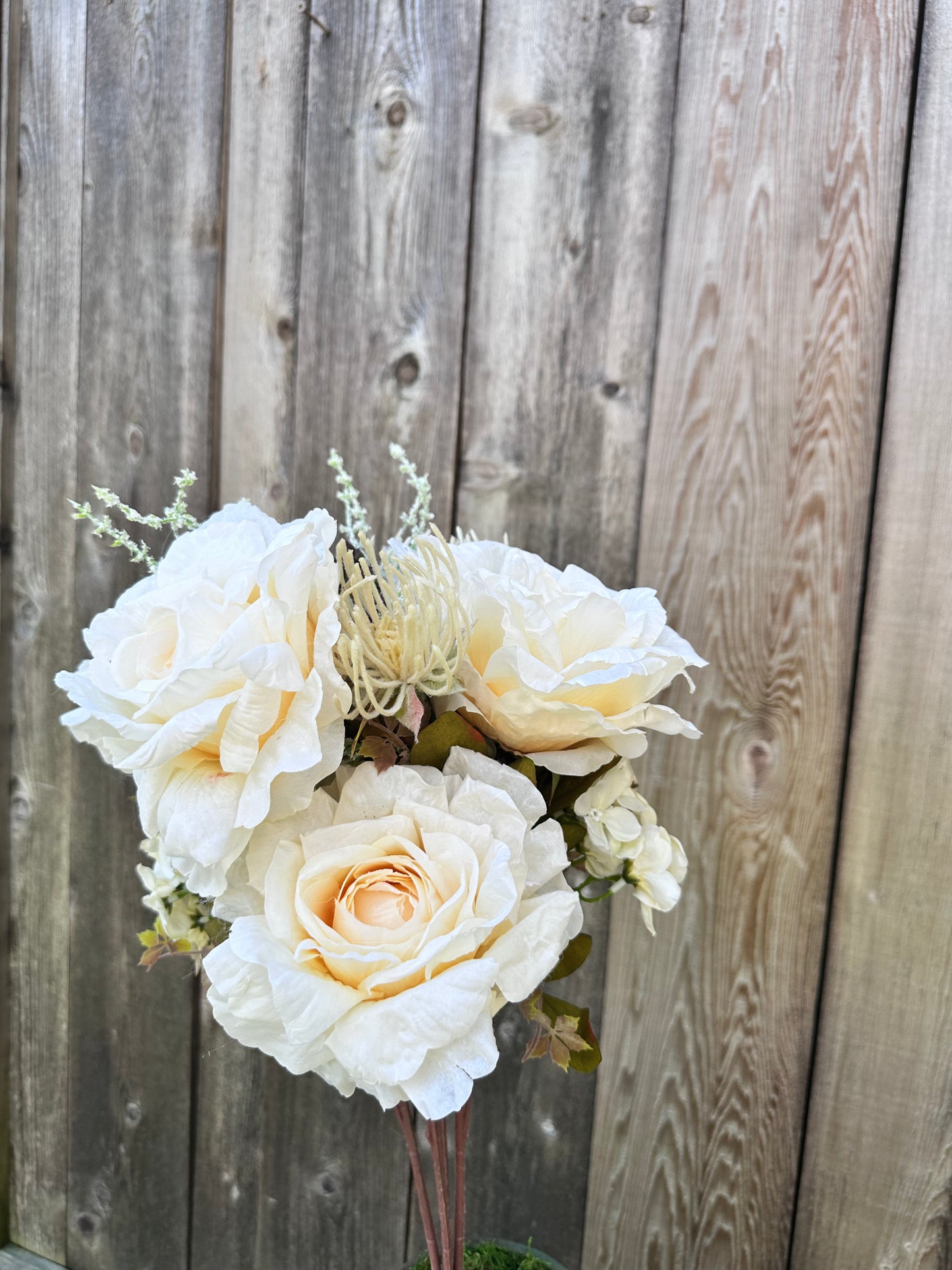Peony/Daisy/Protea Bush Cream FB195135