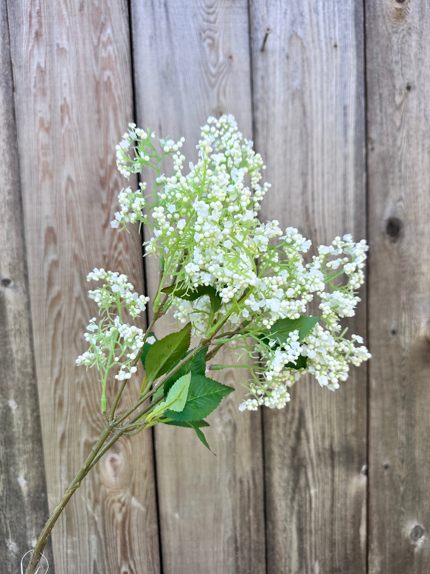 STICKY LAUREL SPRAY 34" CREAM/WHITE 6031-C