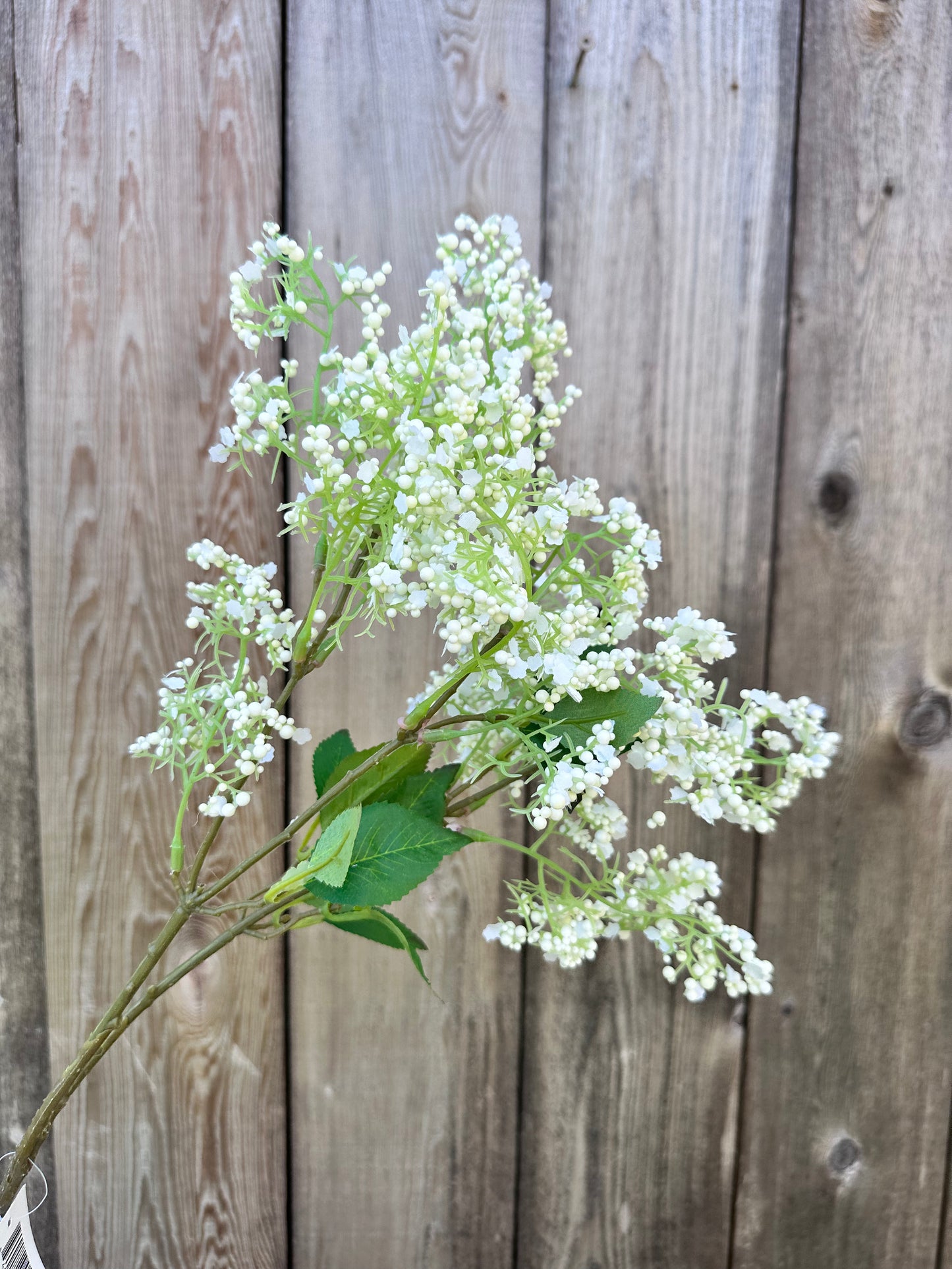 STICKY LAUREL SPRAY 34" CREAM/WHITE 6031-C