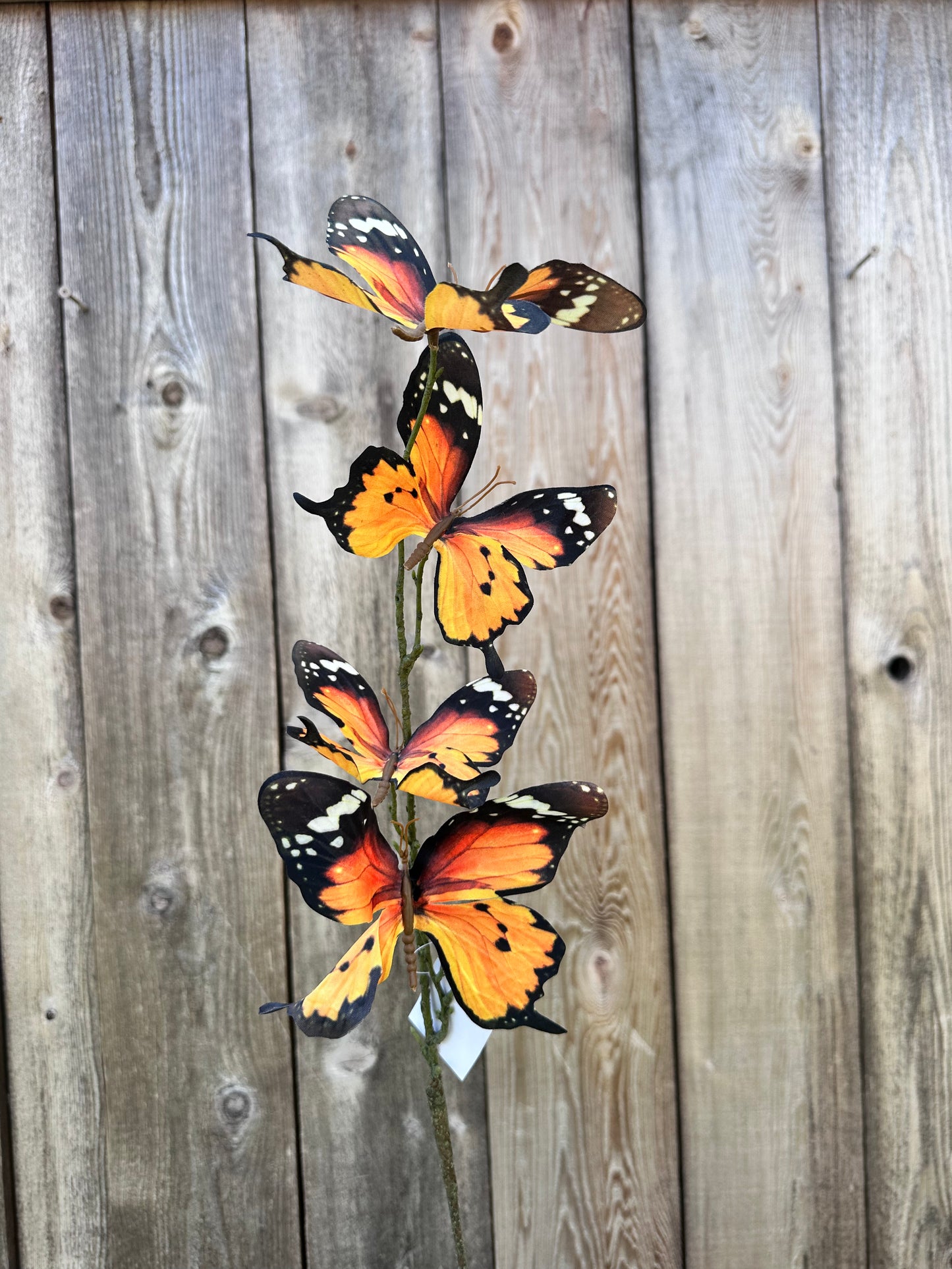Orange 4 Butterfly Spray 89226