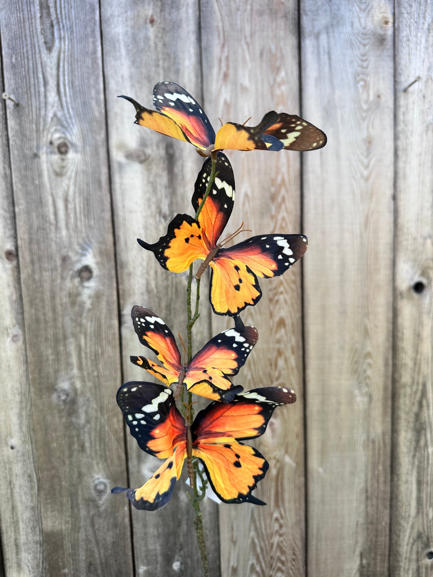 Orange 4 Butterfly Spray 89226