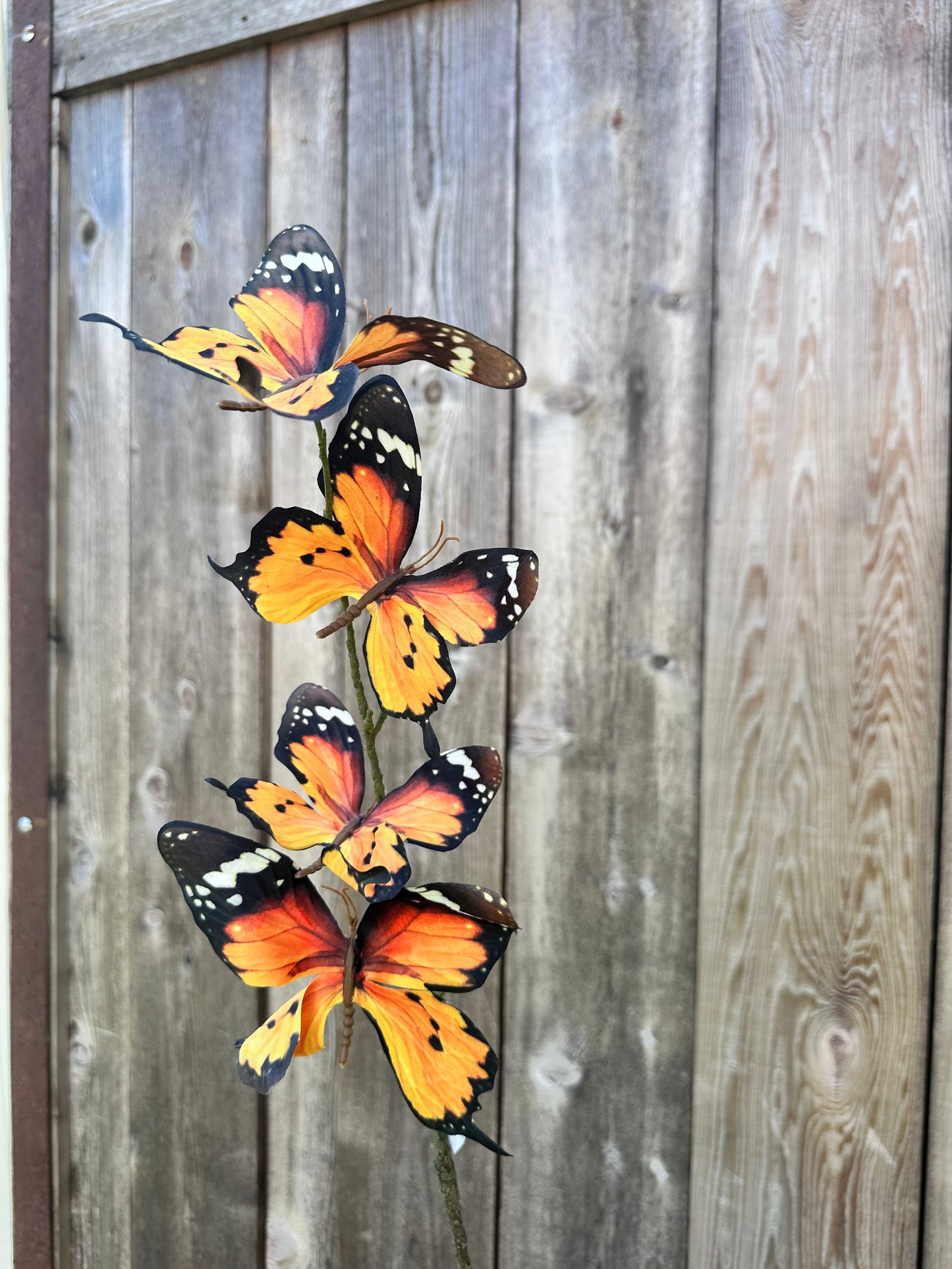Orange 4 Butterfly Spray 89226