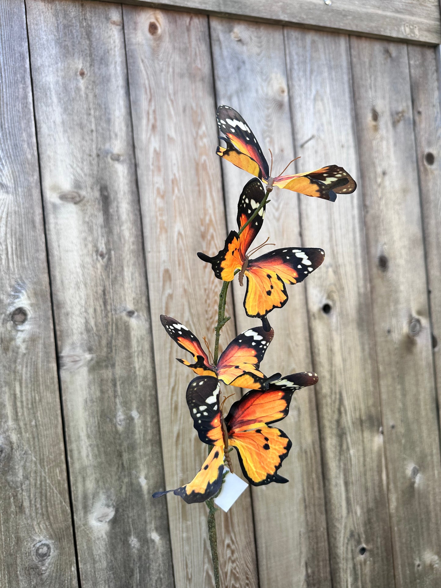 Orange 4 Butterfly Spray 89226
