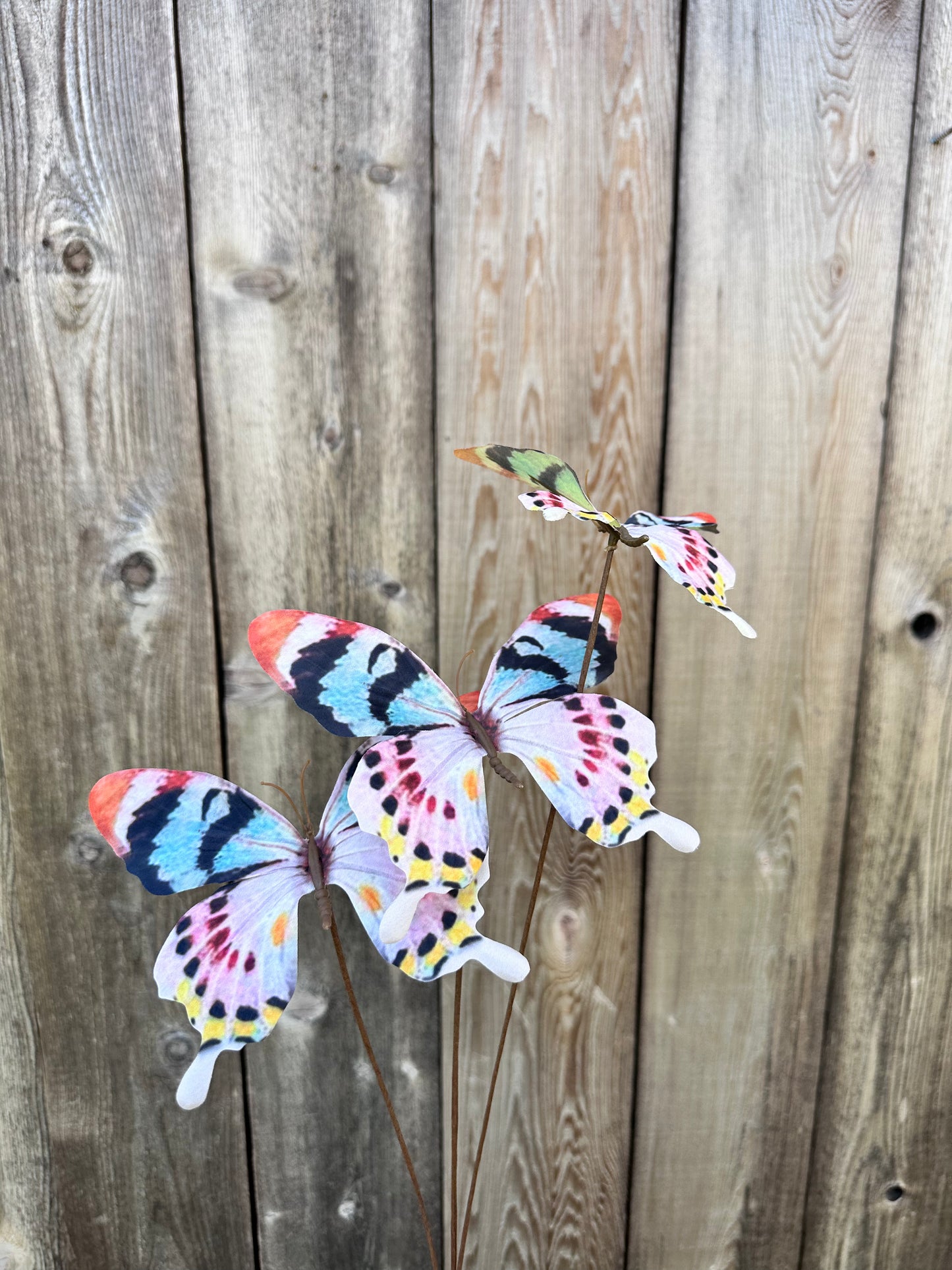 Pastel 3 Butterfly Spray 89227