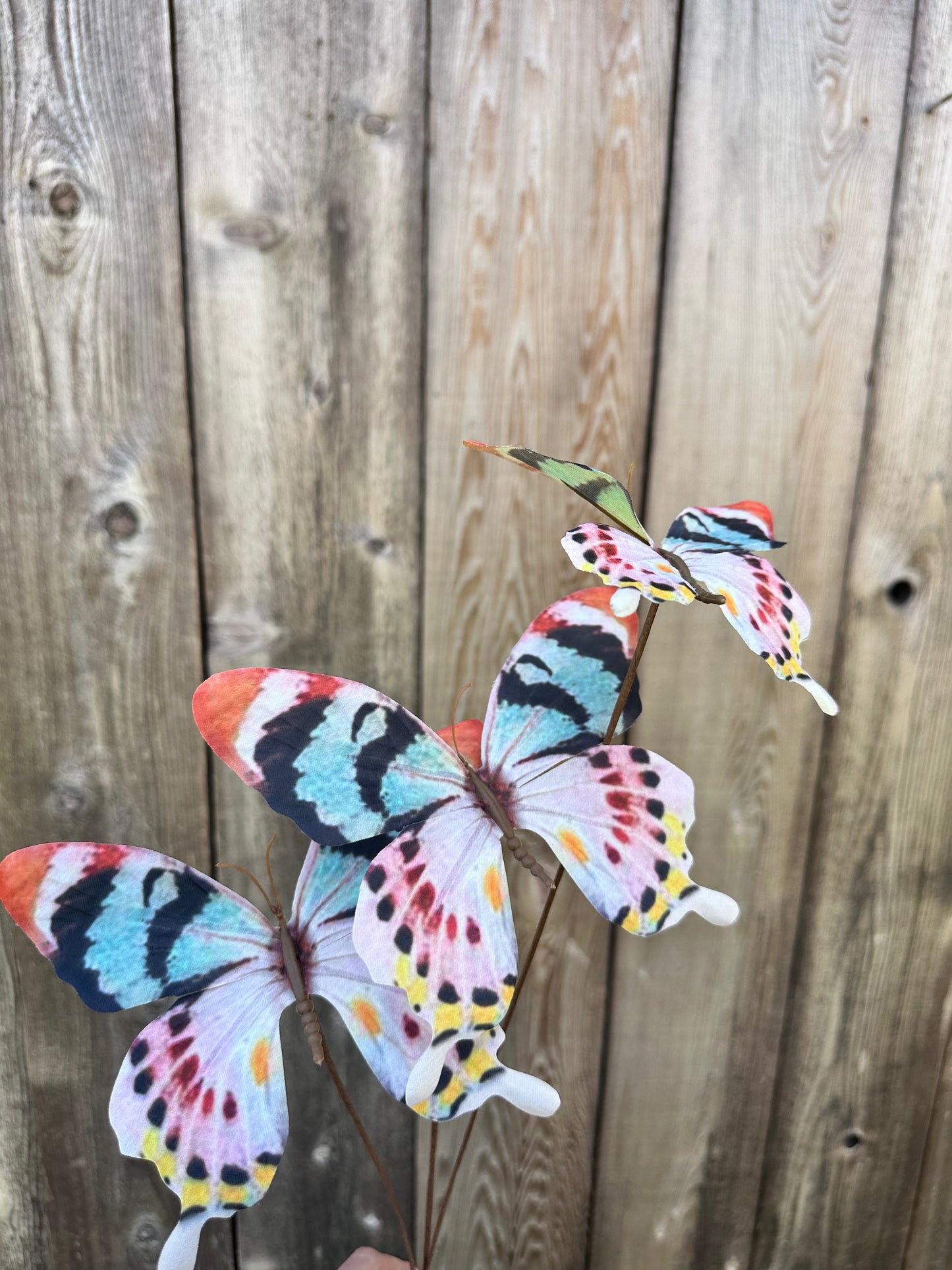 Pastel 3 Butterfly Spray 89227