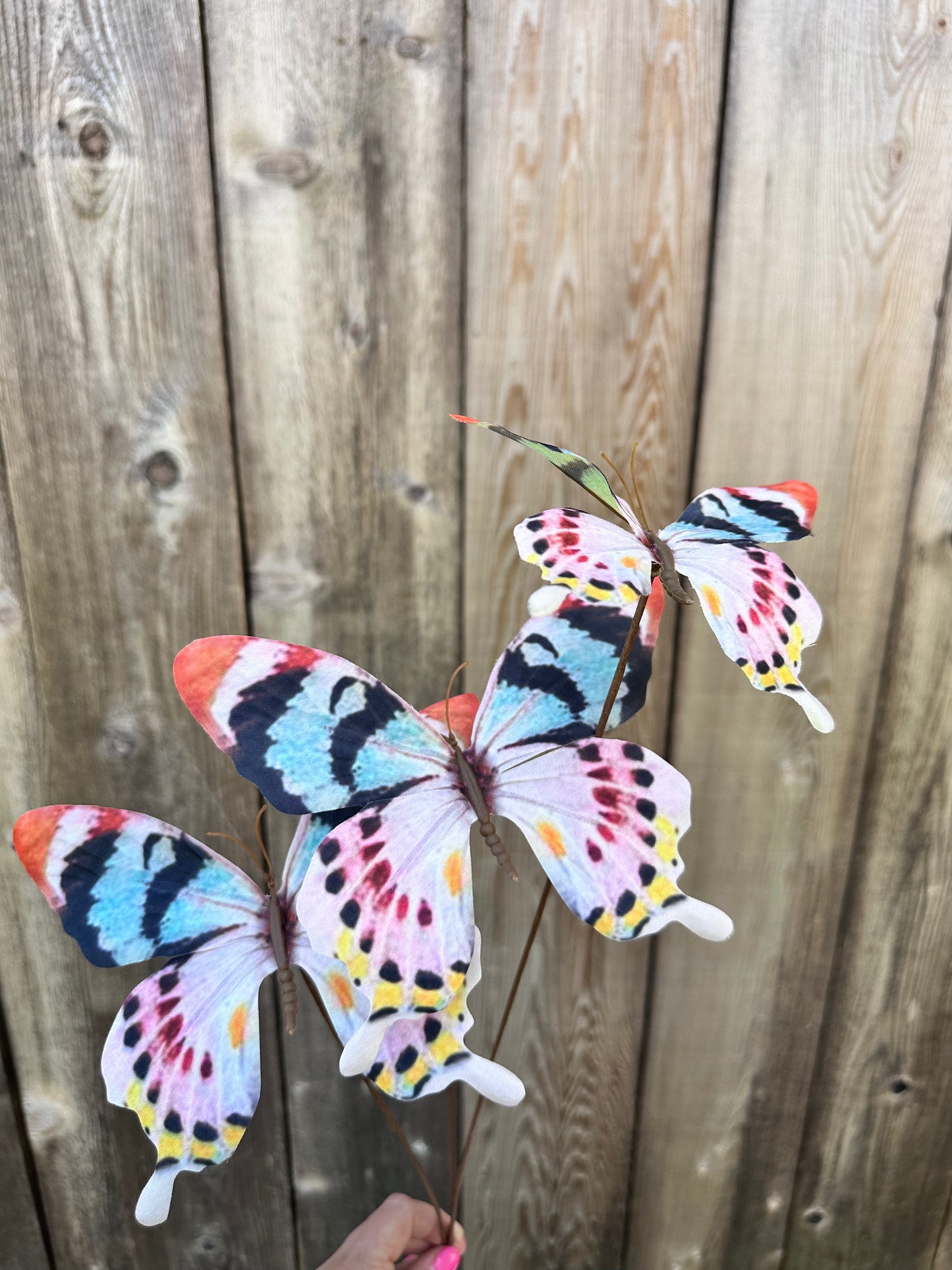 Pastel 3 Butterfly Spray 89227