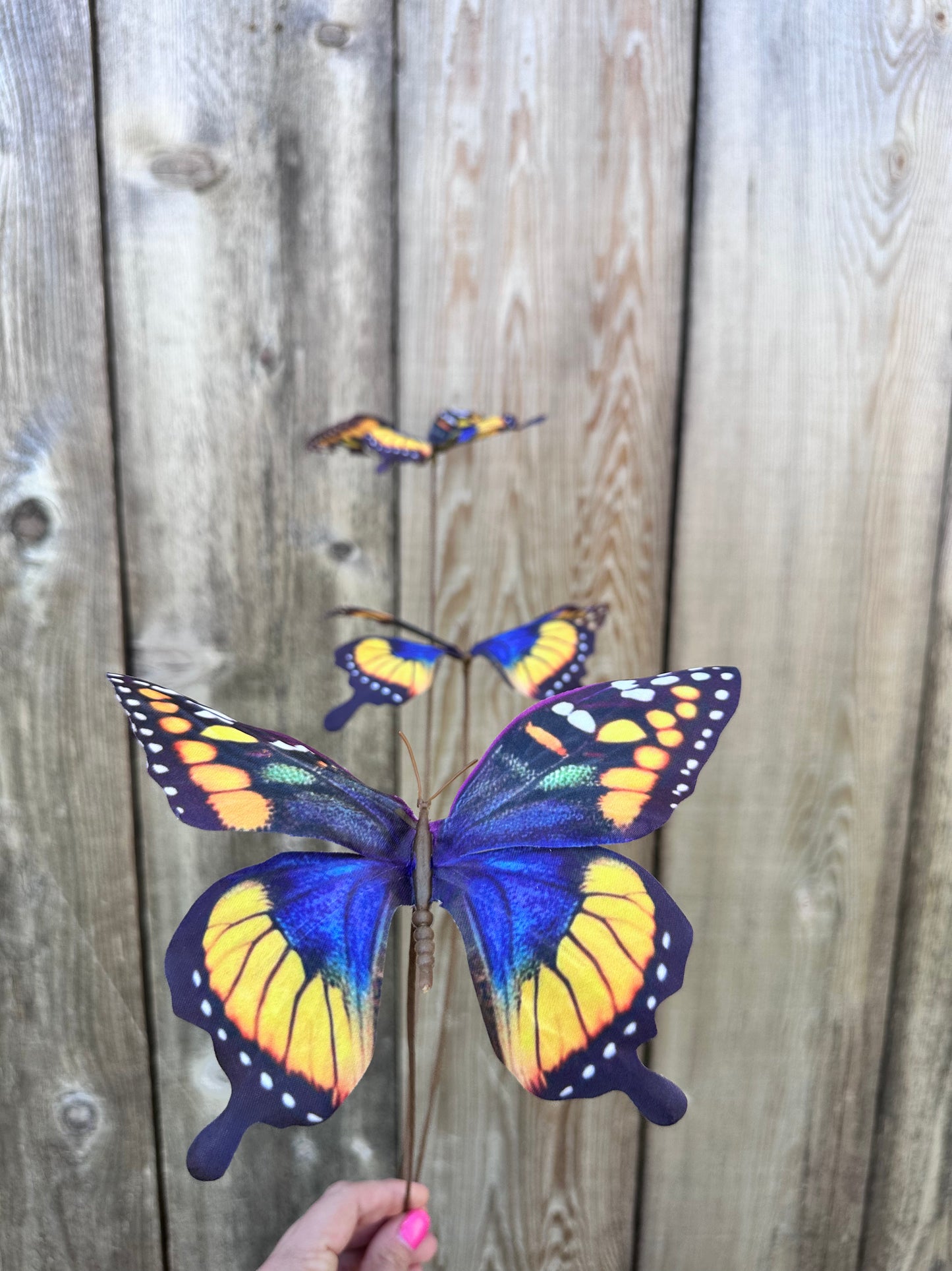 Pur/Yel Butterfly Spray 89229