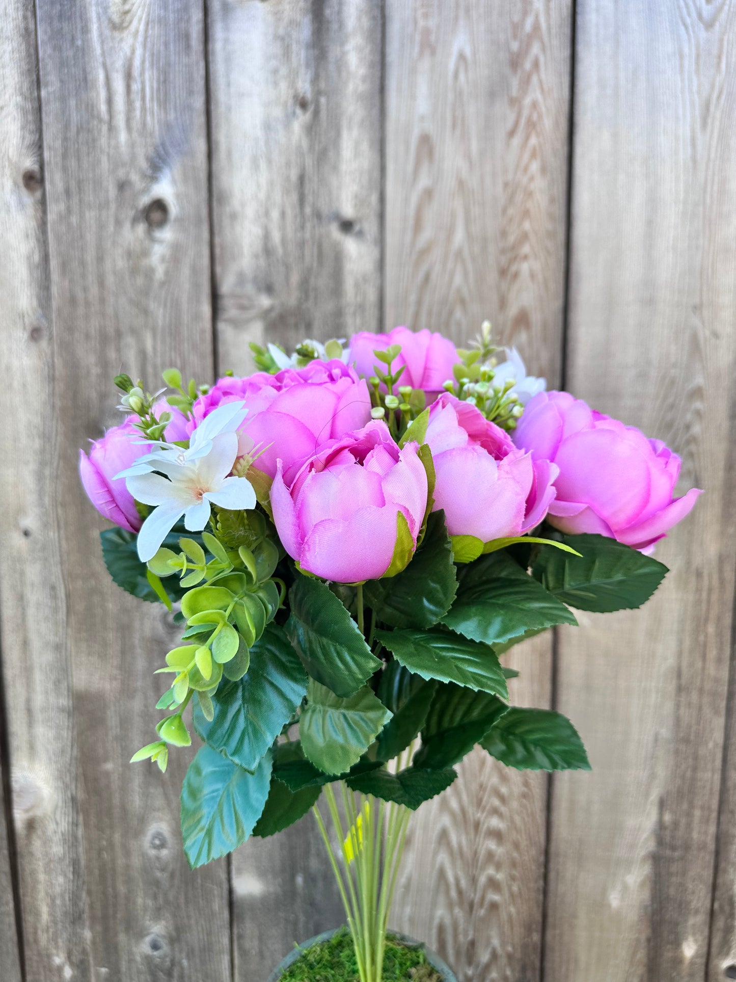 Peony Bush 35123MV