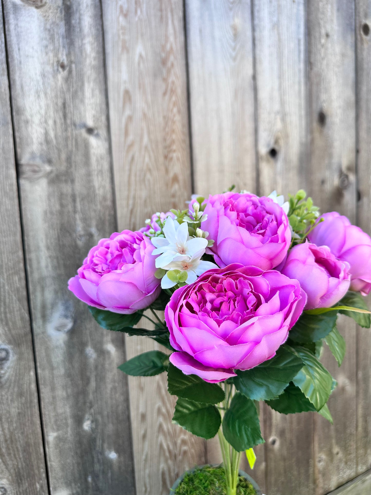 Peony Bush 35123MV