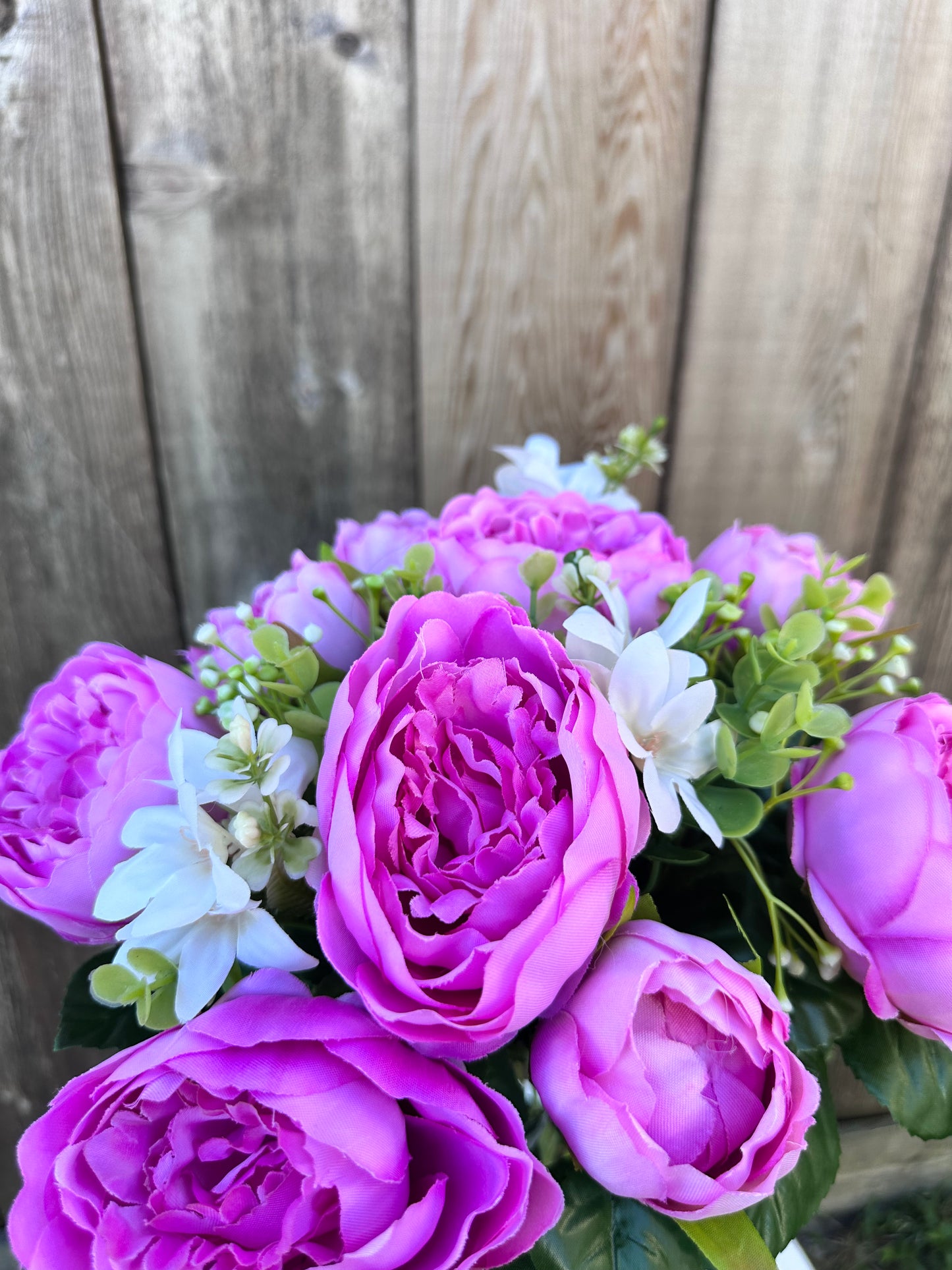 Peony Bush 35123MV