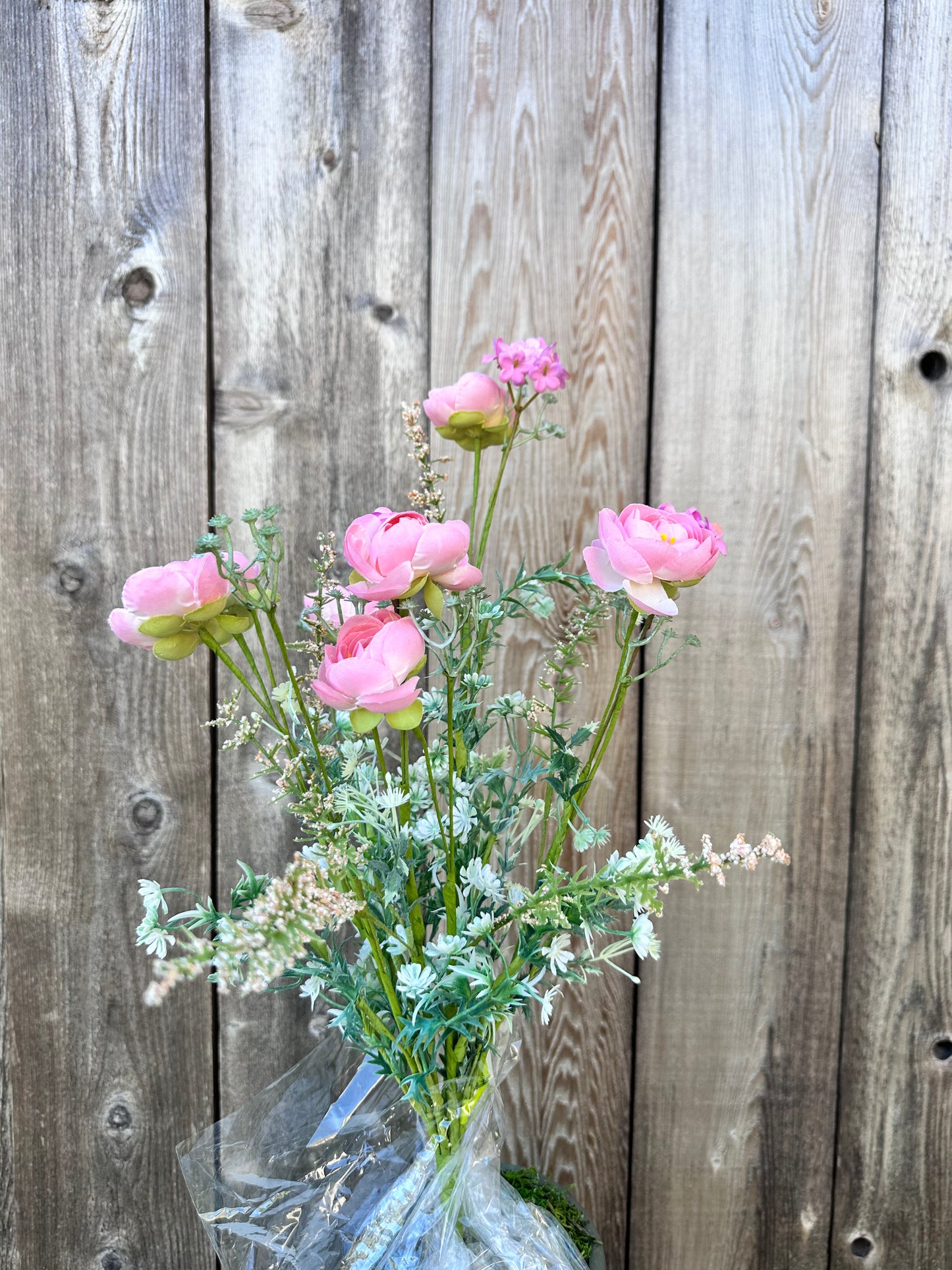 Ranunculus Filler Bush 63101PH
