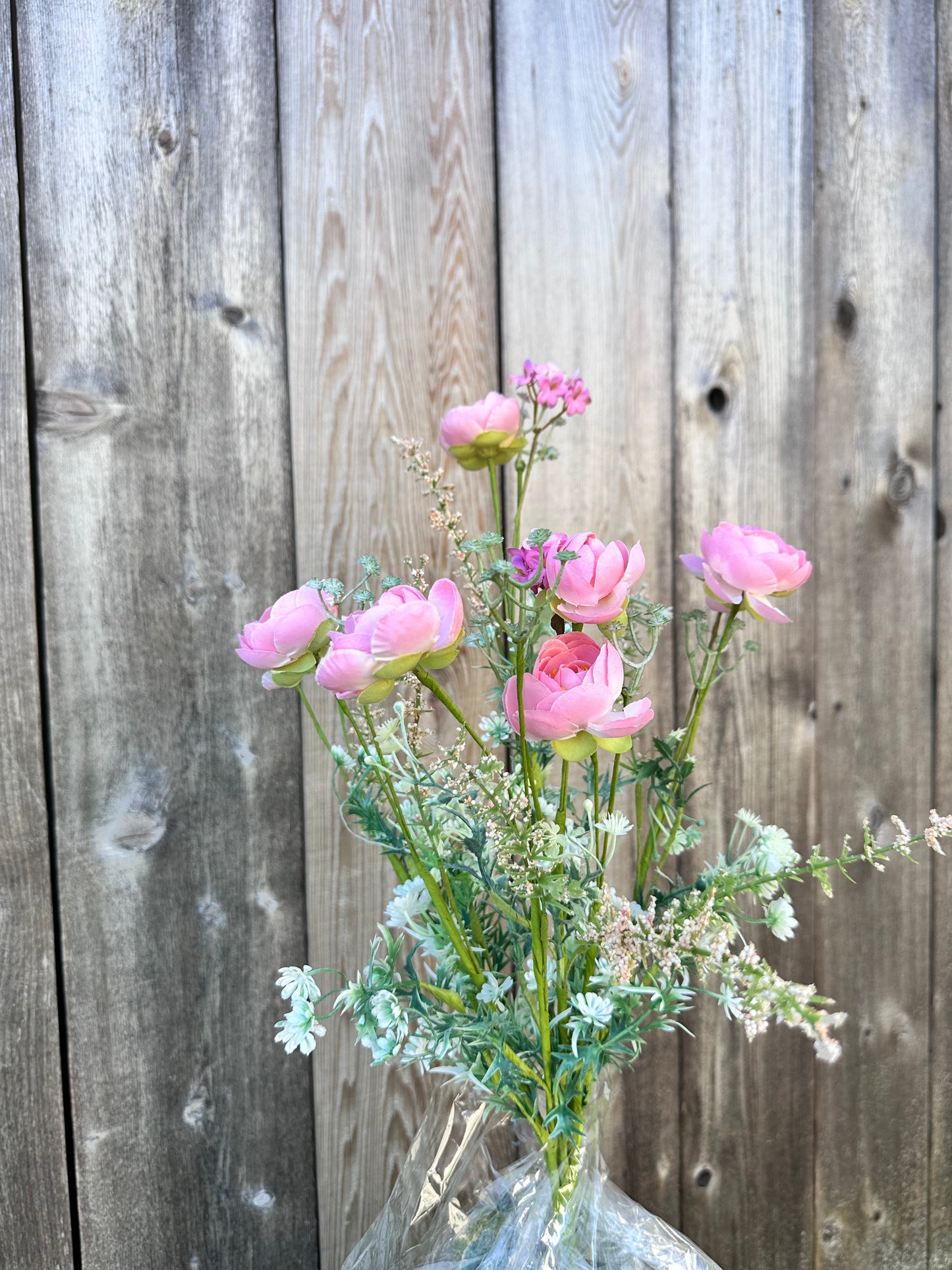 Ranunculus Filler Bush 63101PH