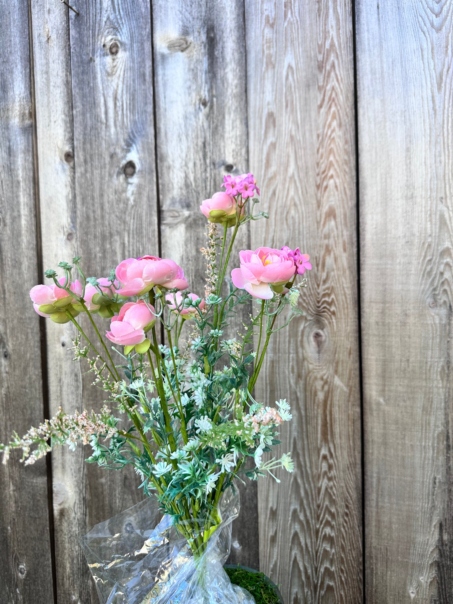 Ranunculus Filler Bush 63101PH