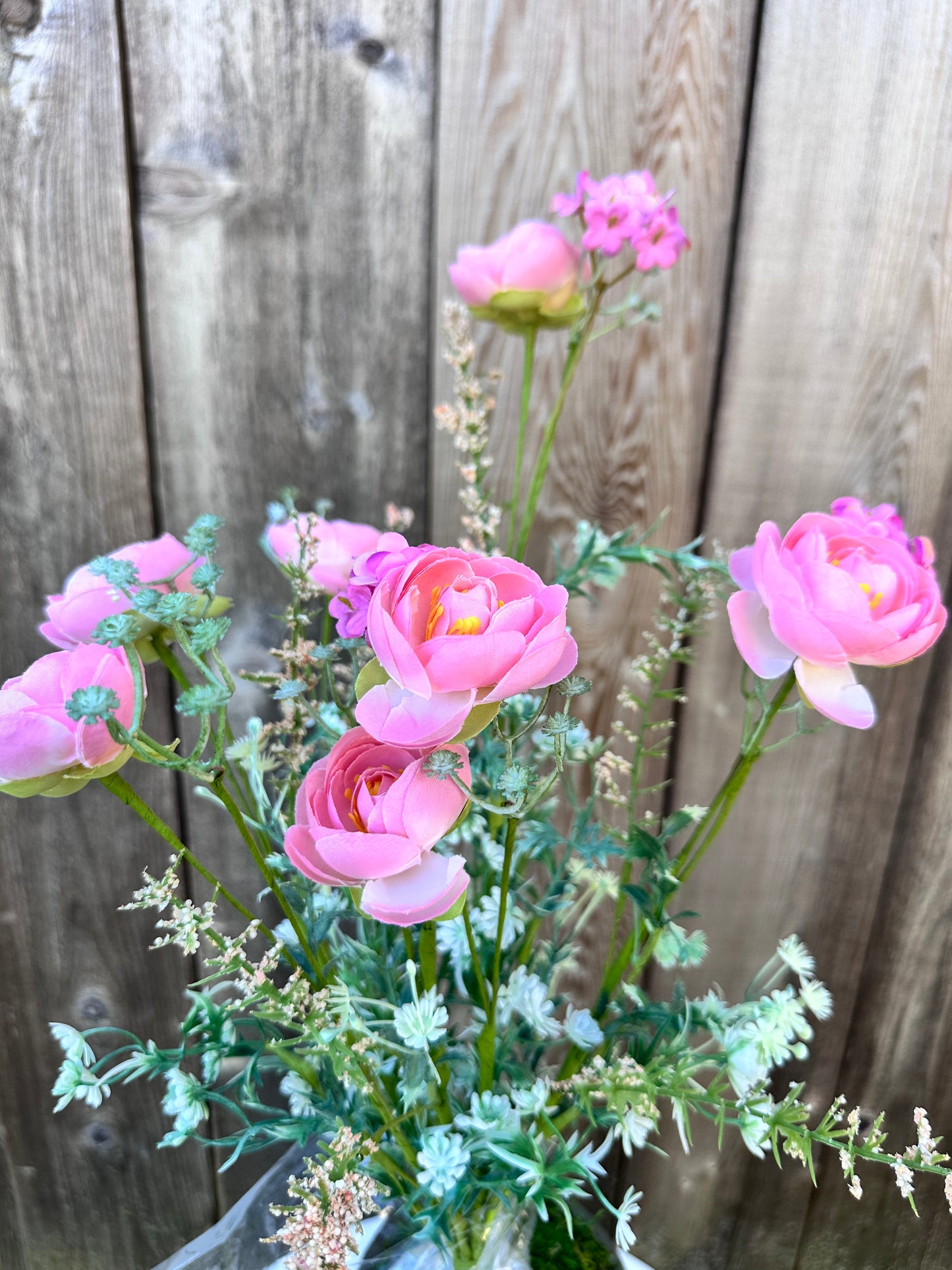 Ranunculus Filler Bush 63101PH