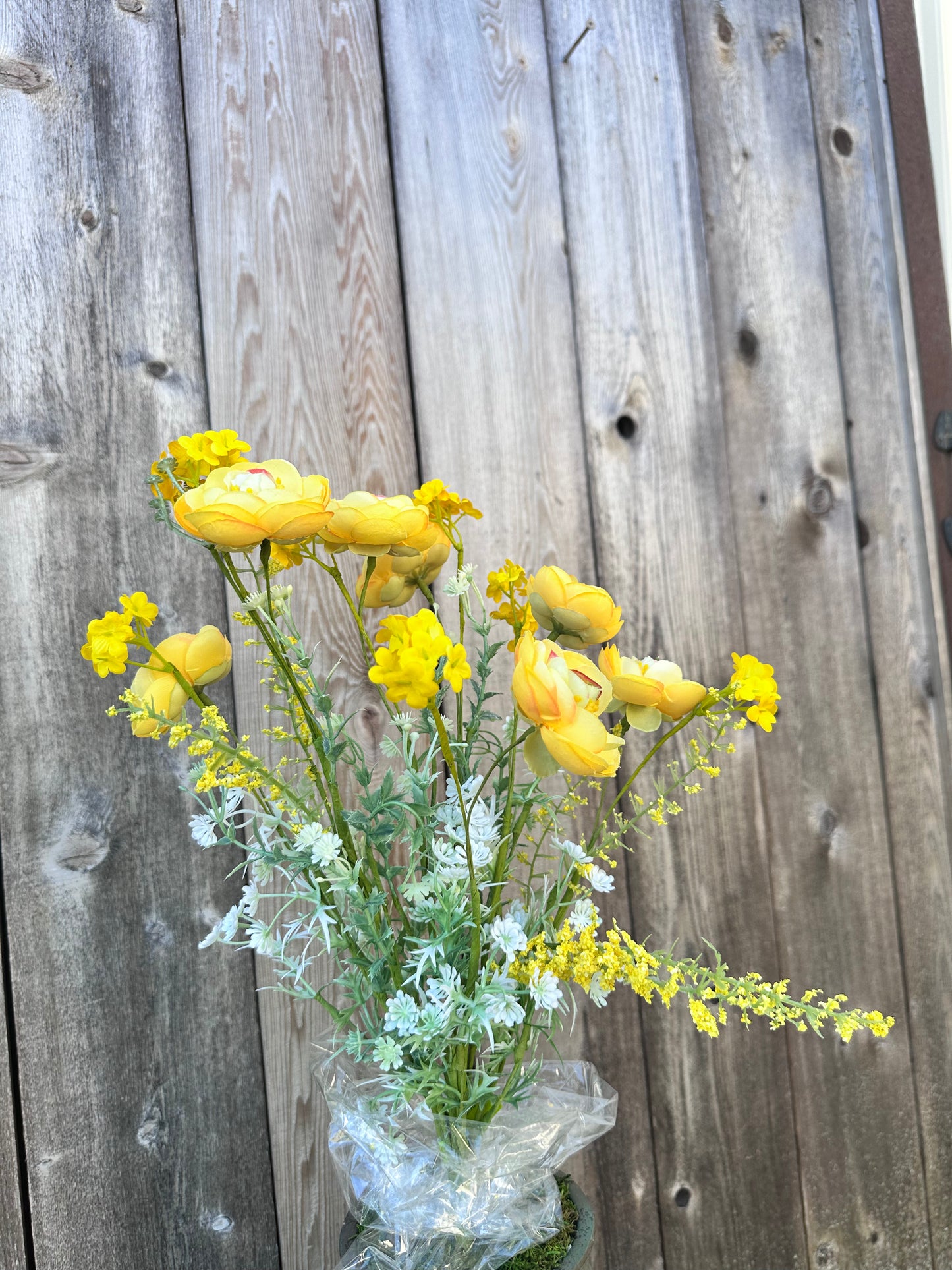 Ranunculus Filler Bush 63101YW