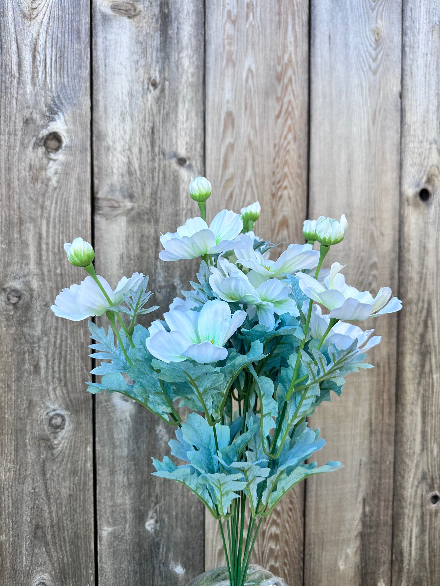 COSMOS BUSH 84299-CR