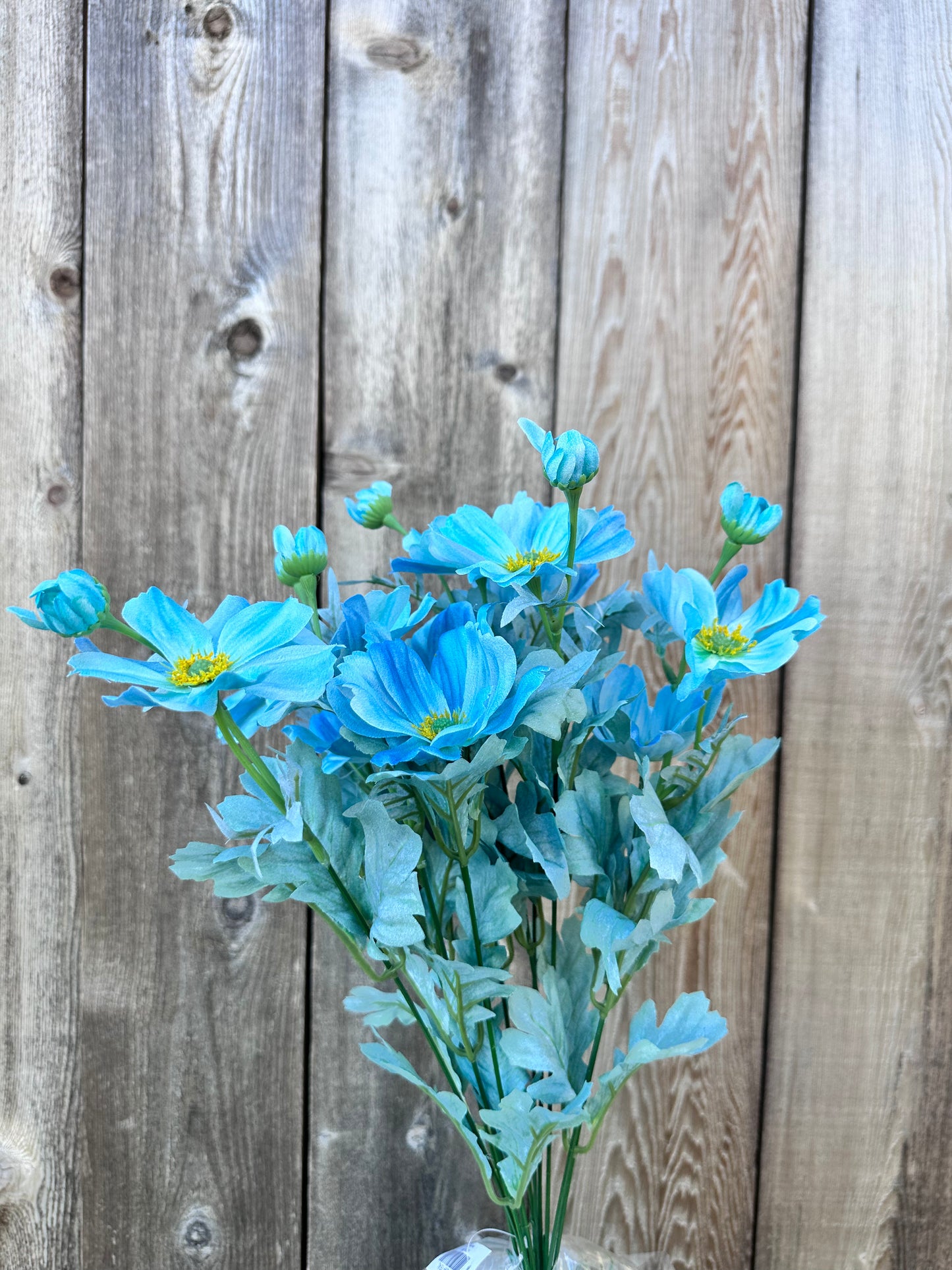 COSMOS BUSH 84299-TEAL