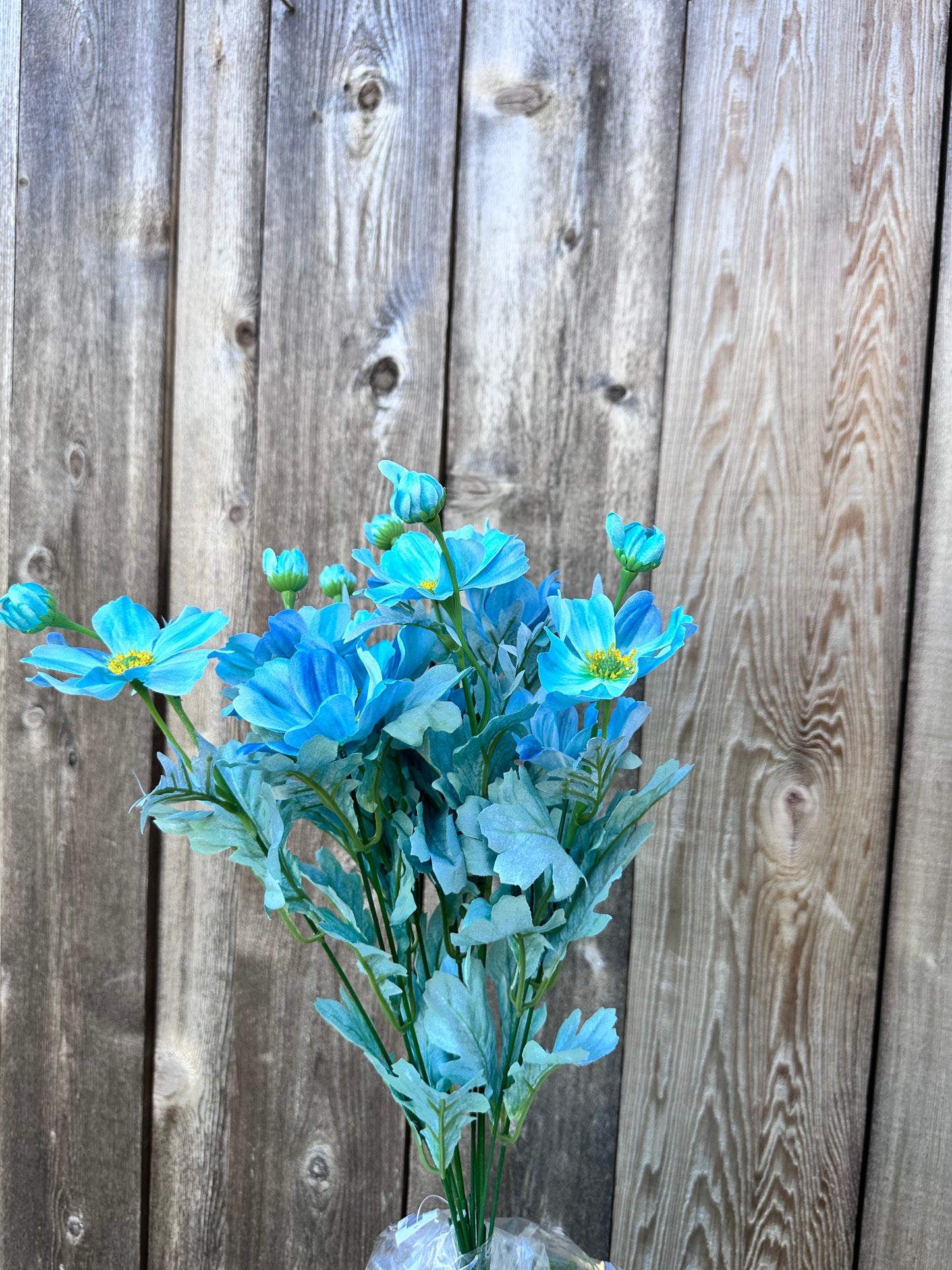 COSMOS BUSH 84299-TEAL