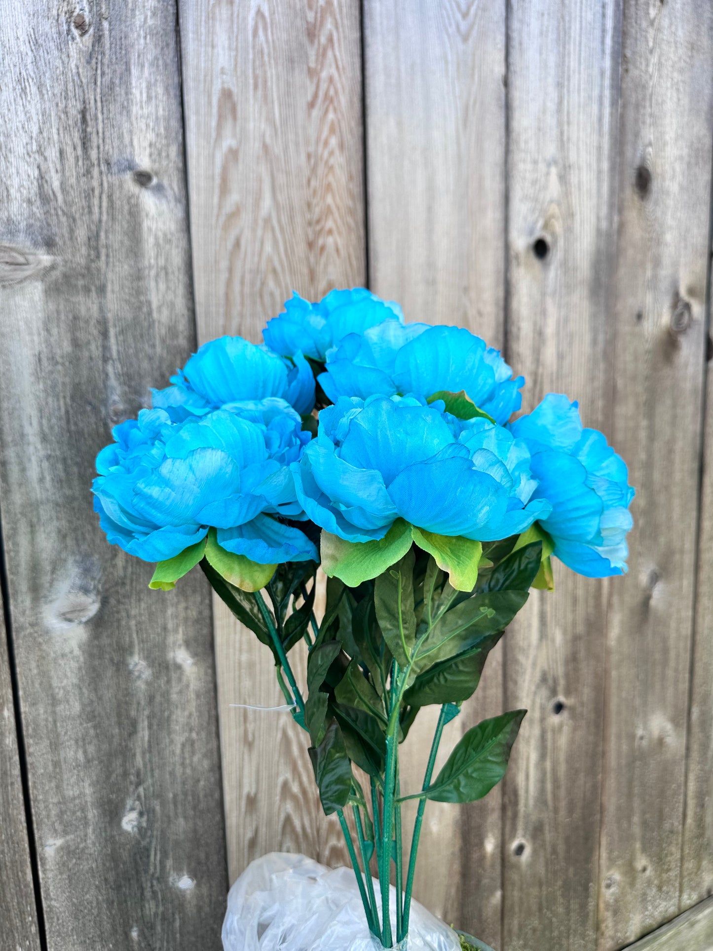 PEONY BUSH 54849-TQ
