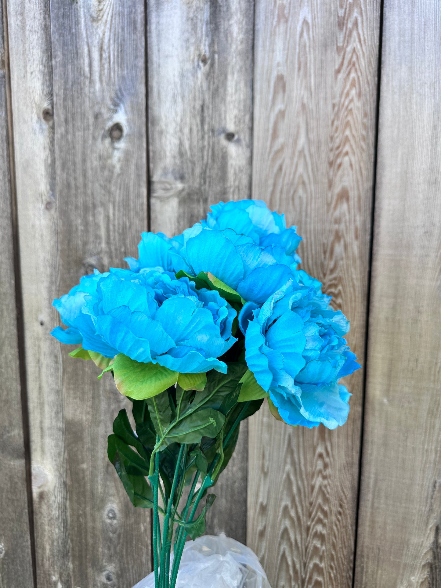 PEONY BUSH 54849-TQ