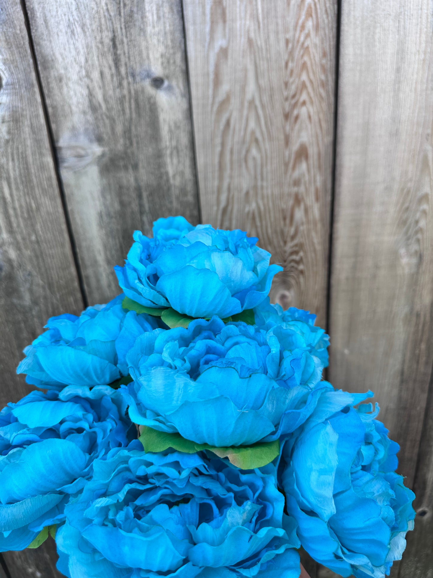 PEONY BUSH 54849-TQ
