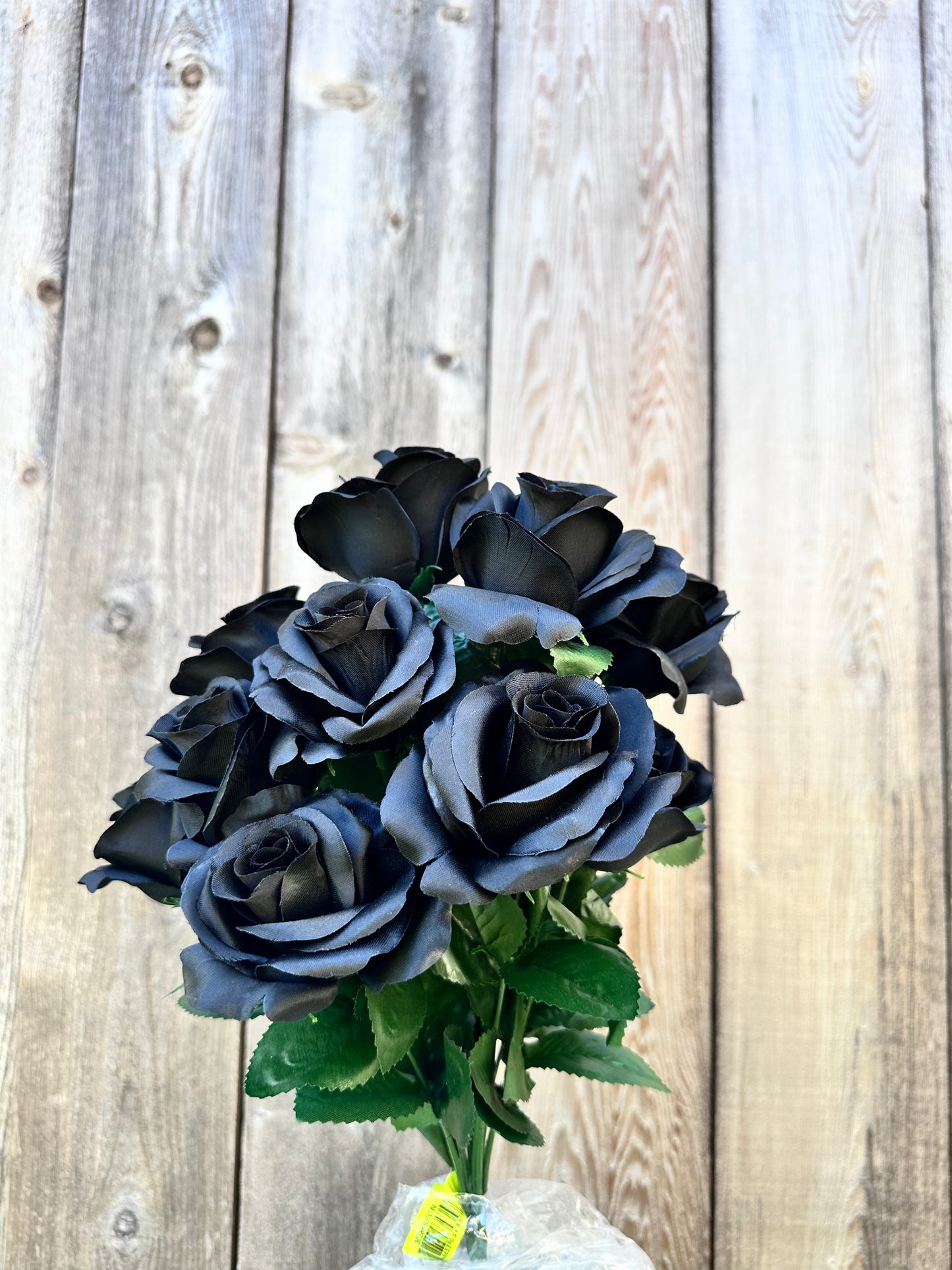 Color Fast Lillian Open Rose Bush 30388BKGN