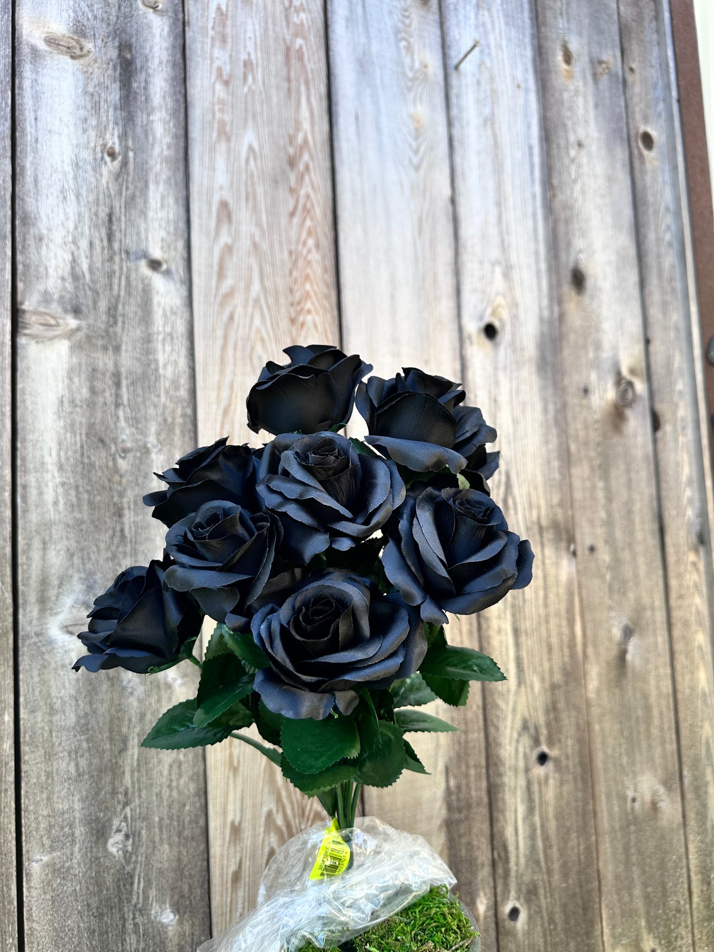 Color Fast Lillian Open Rose Bush 30388BKGN