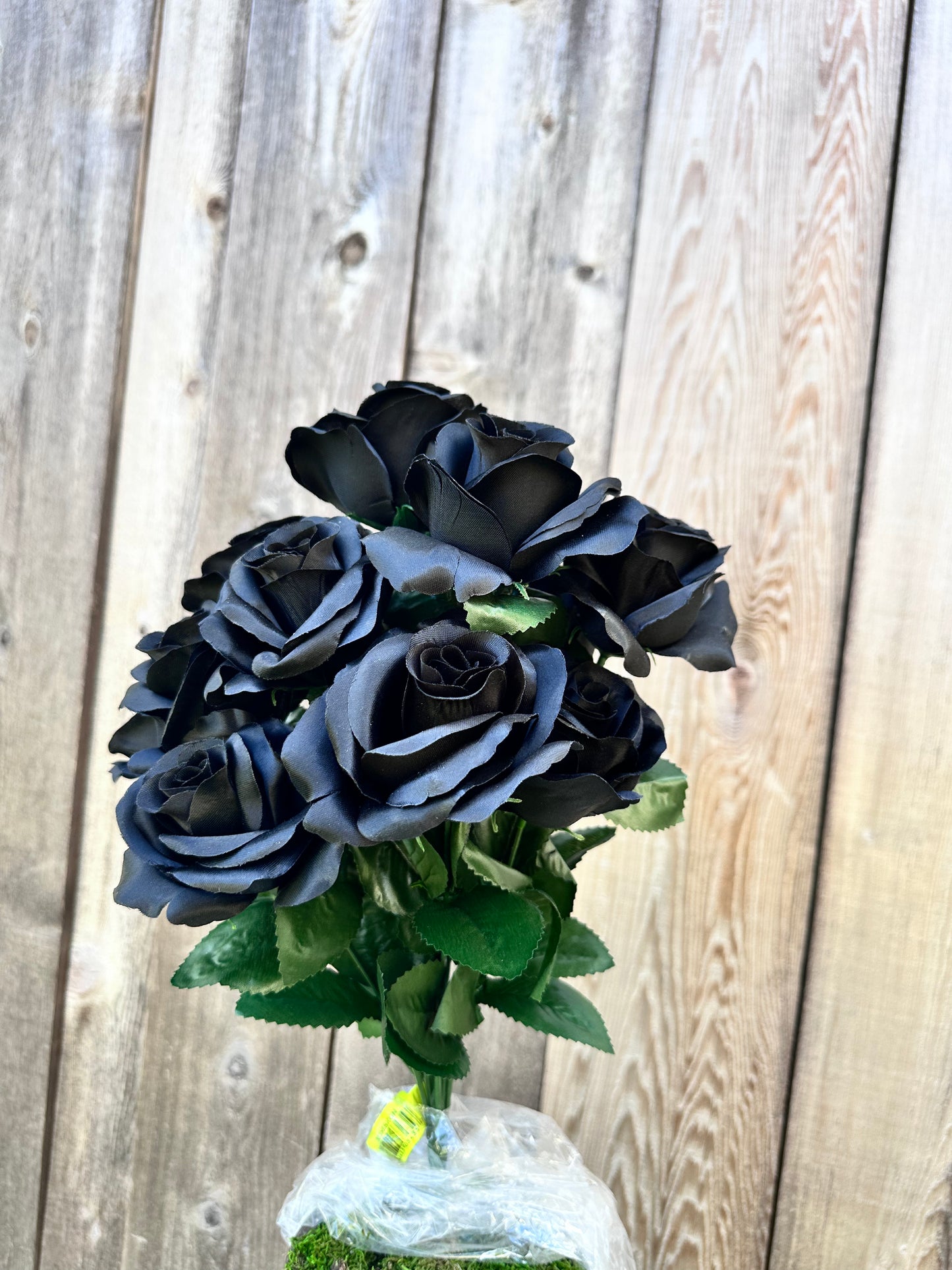 Color Fast Lillian Open Rose Bush 30388BKGN