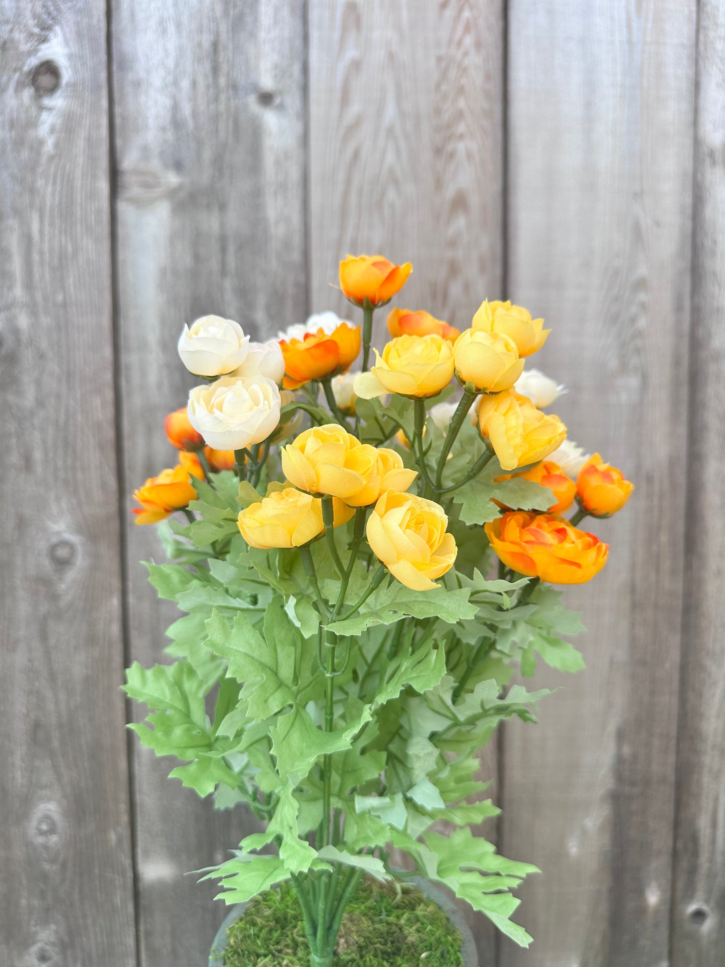 RANUNCULUS BUSH 84399-YELBE