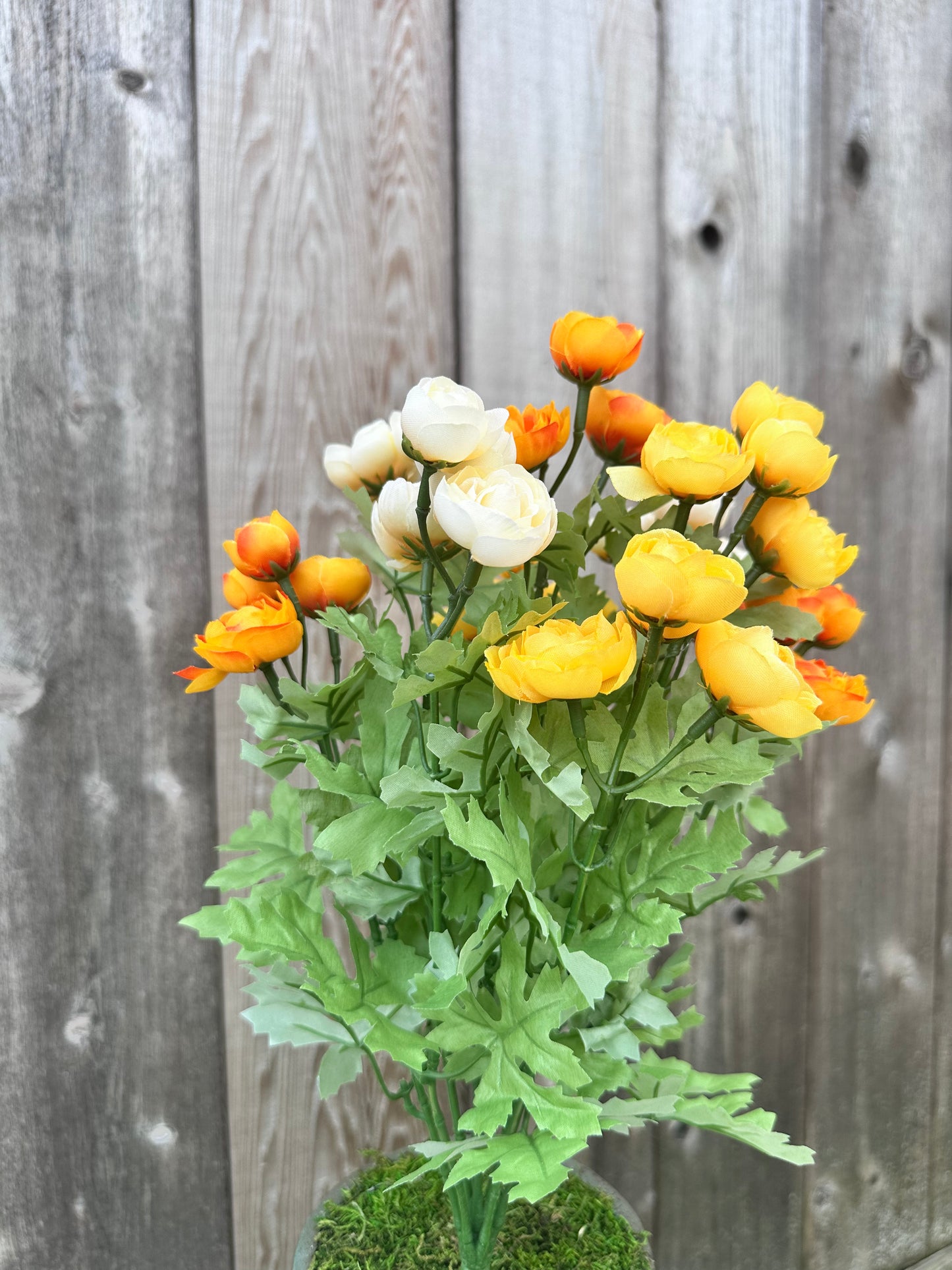 RANUNCULUS BUSH 84399-YELBE