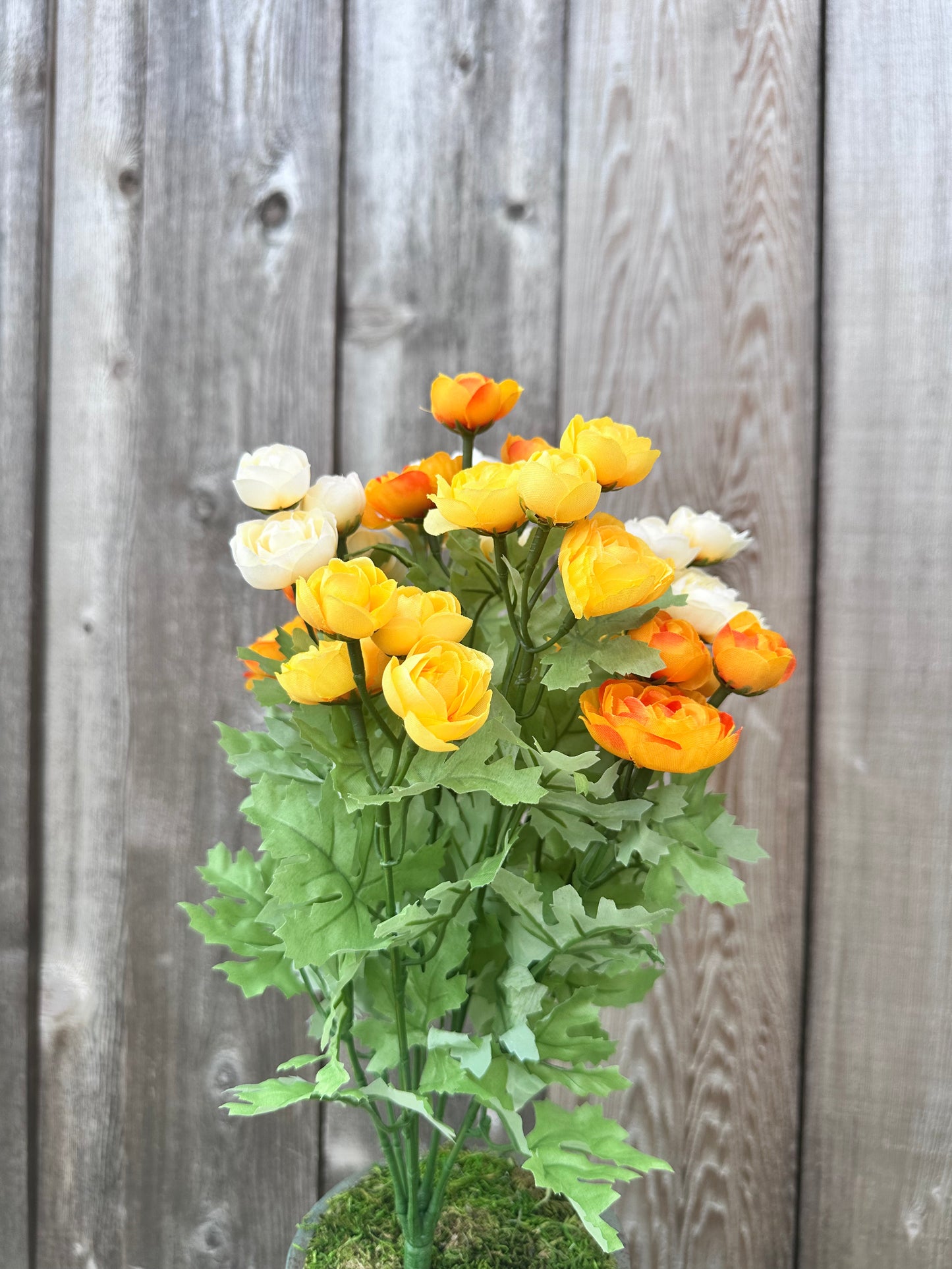 RANUNCULUS BUSH 84399-YELBE
