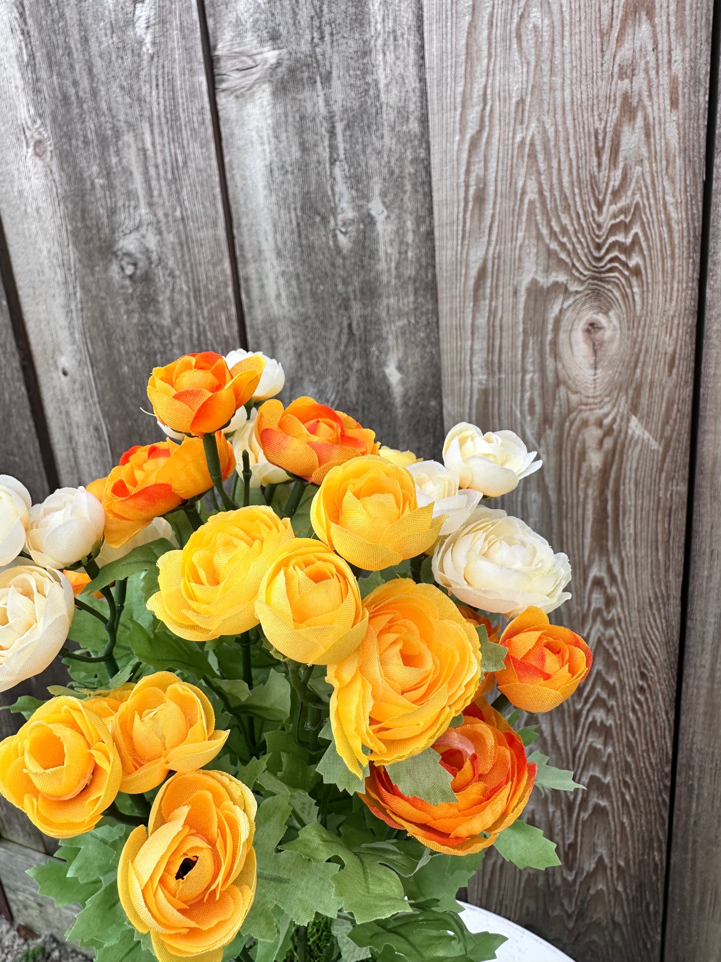 RANUNCULUS BUSH 84399-YELBE