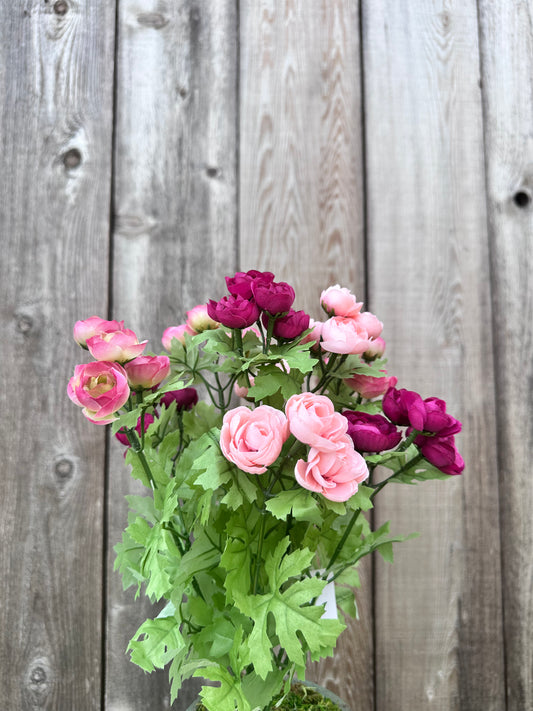 RANUNCULUS BUSH   84399-PKFU