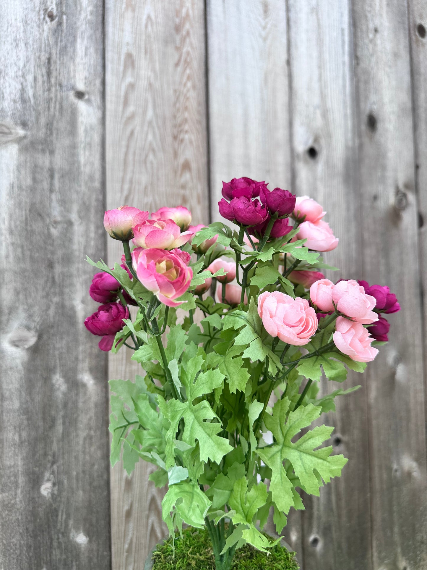 RANUNCULUS BUSH 84399-PKFU
