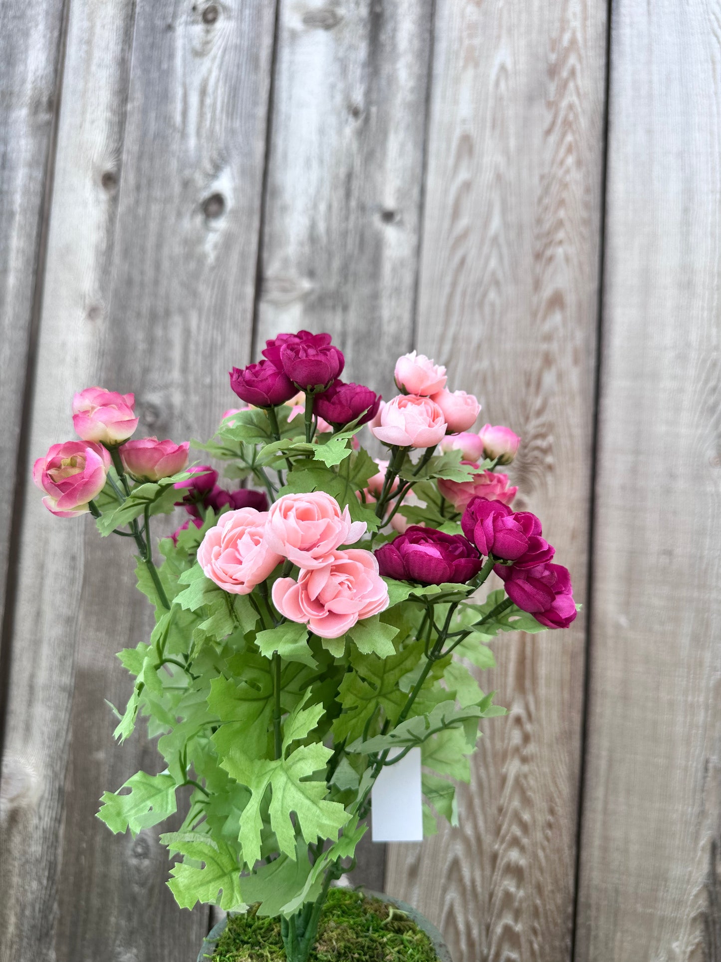 RANUNCULUS BUSH 84399-PKFU