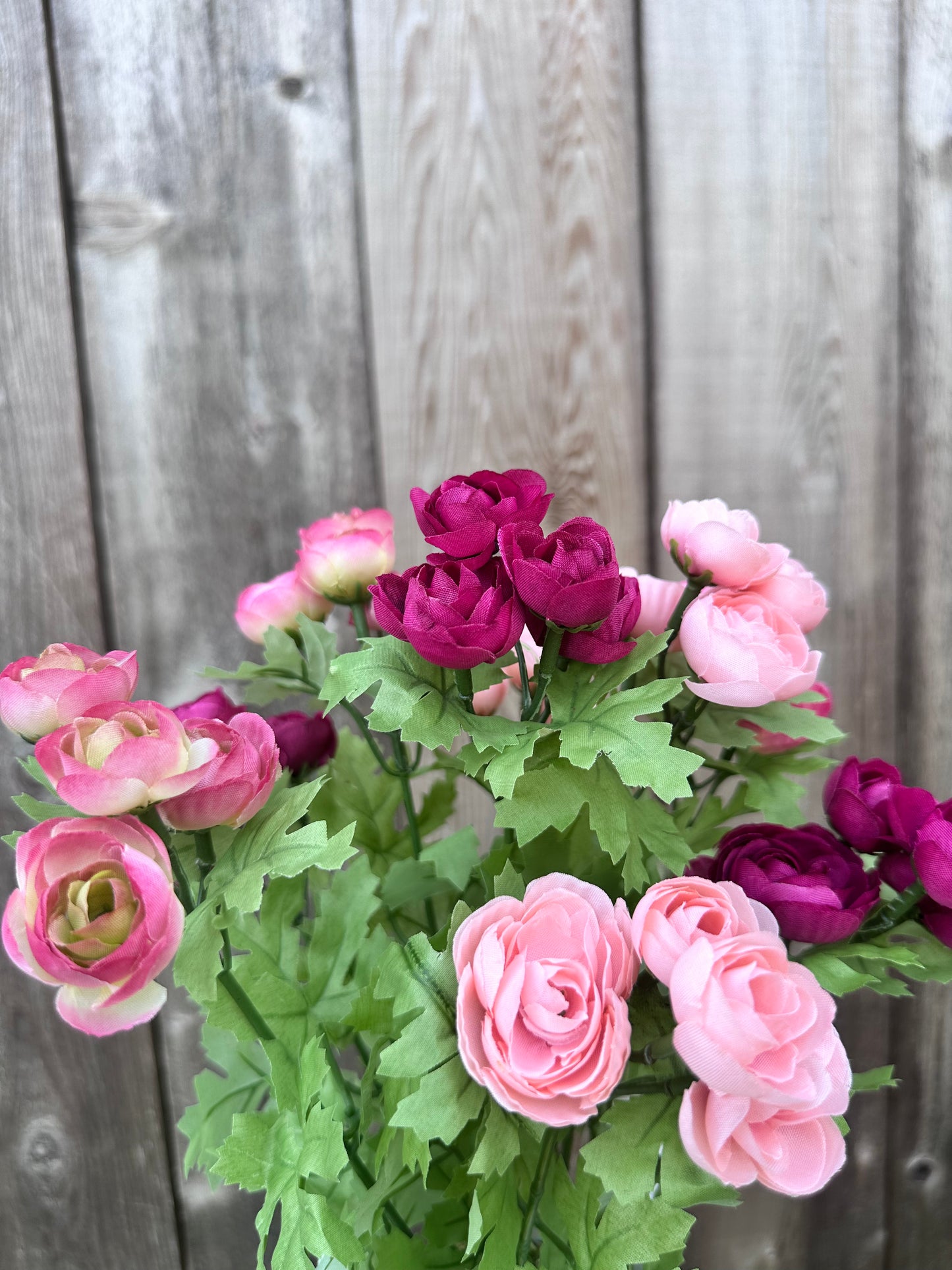 RANUNCULUS BUSH 84399-PKFU