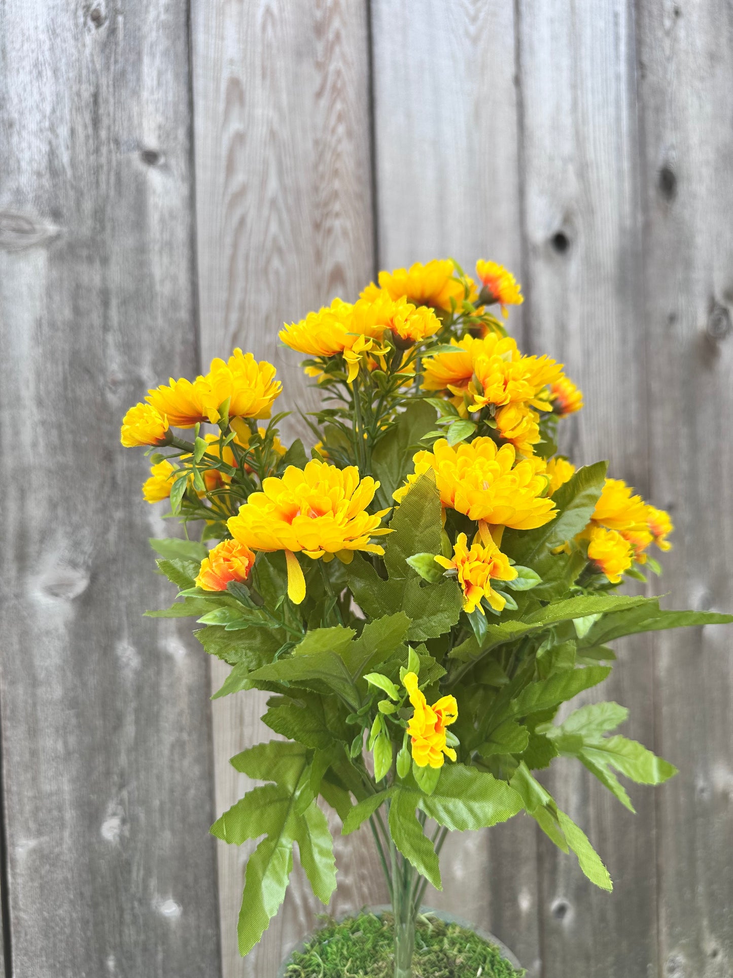 MUM BUSH 84554-YEL