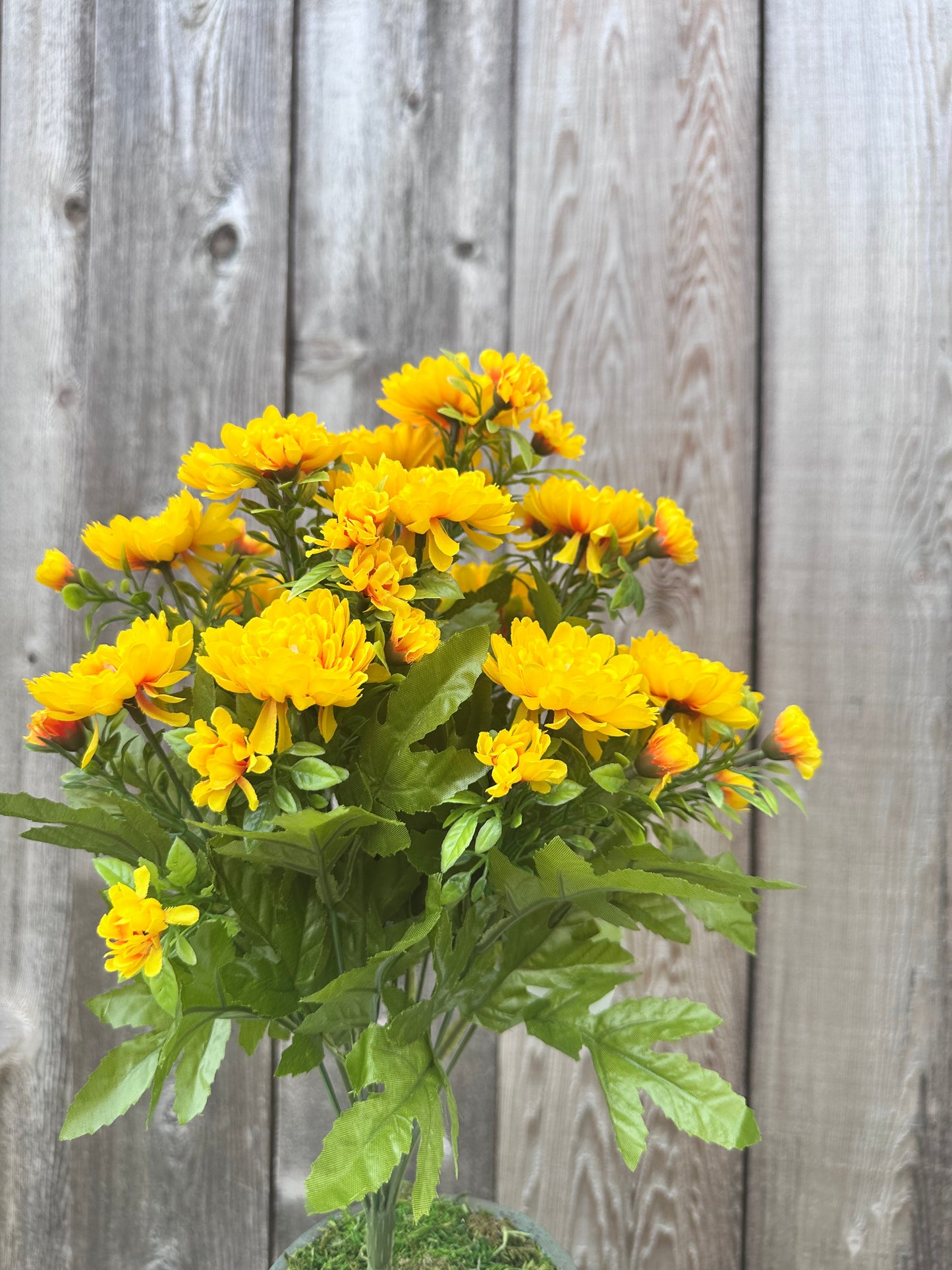 MUM BUSH 84554-YEL