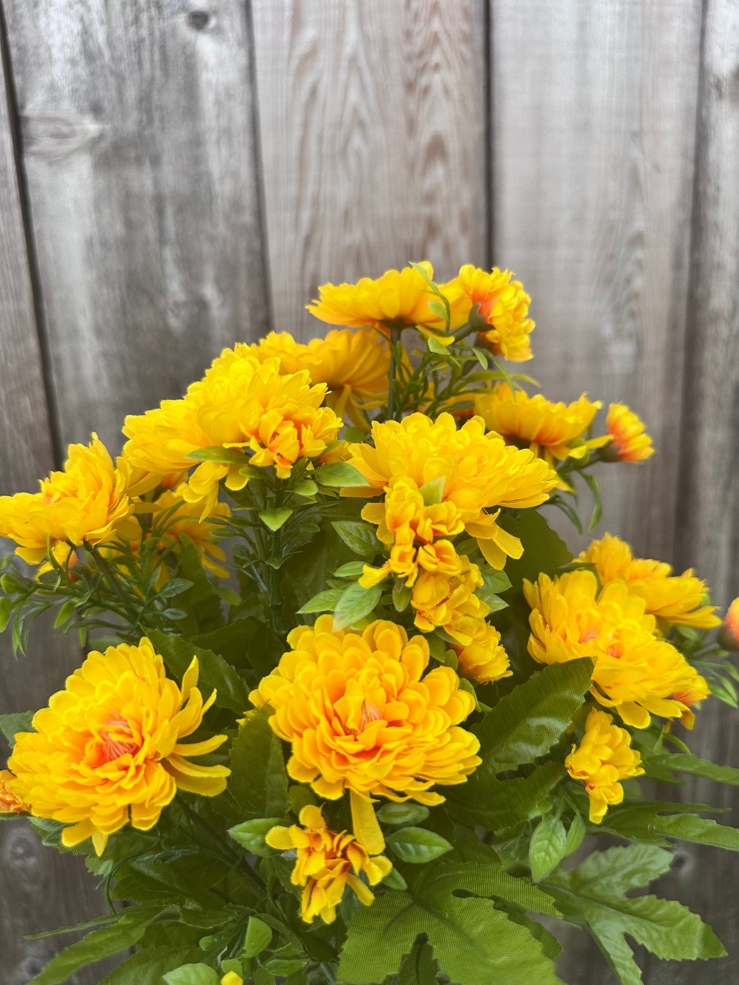 MUM BUSH 84554-YEL