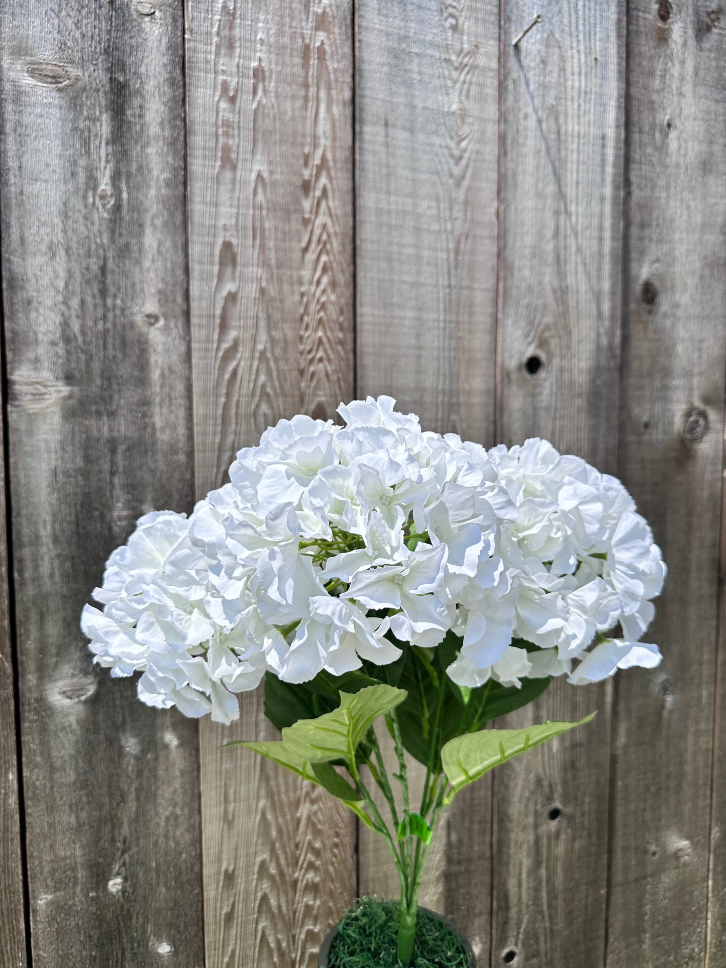 HYDRANGEA BUSH 35147CM