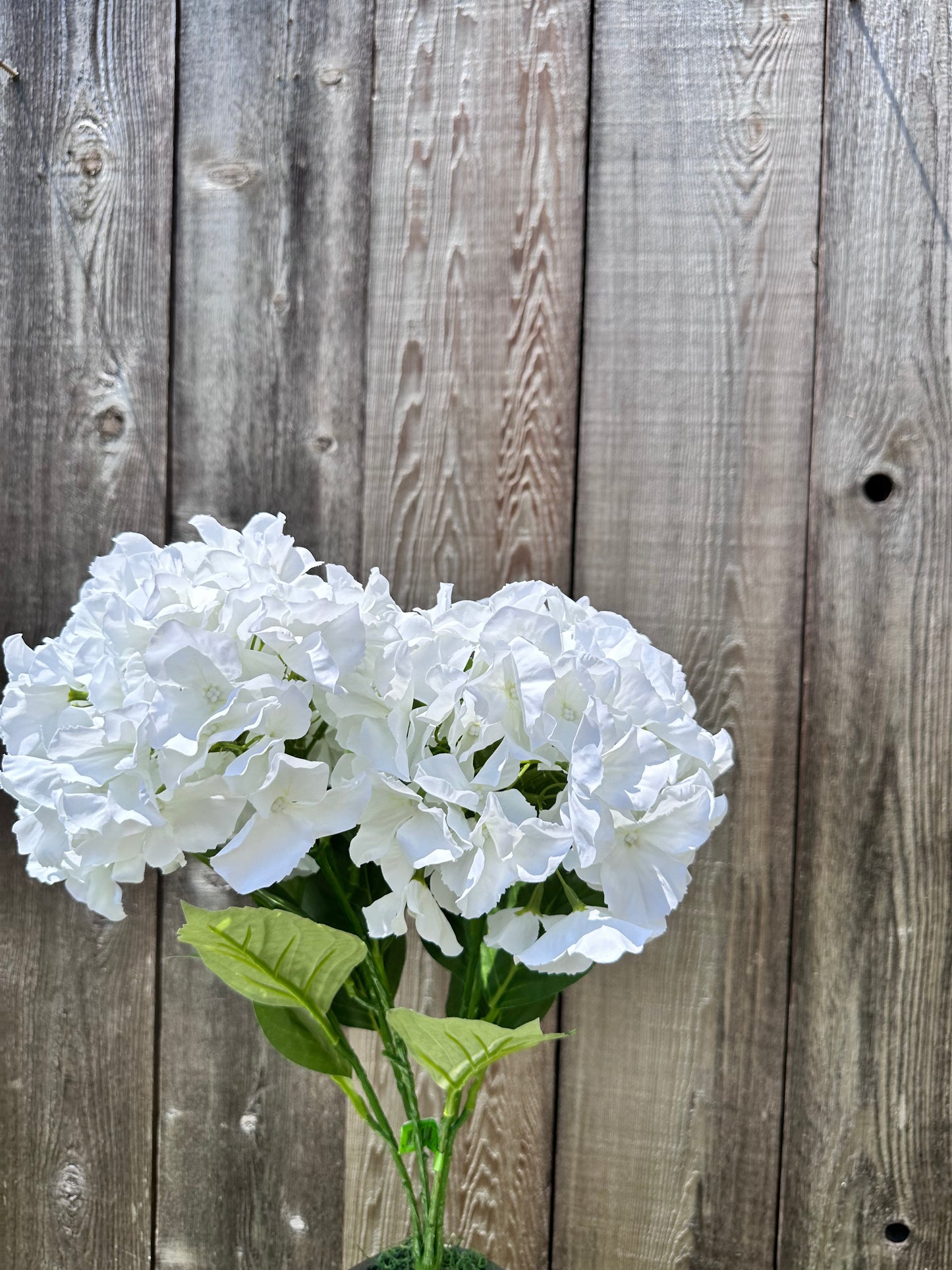 HYDRANGEA BUSH 35147CM