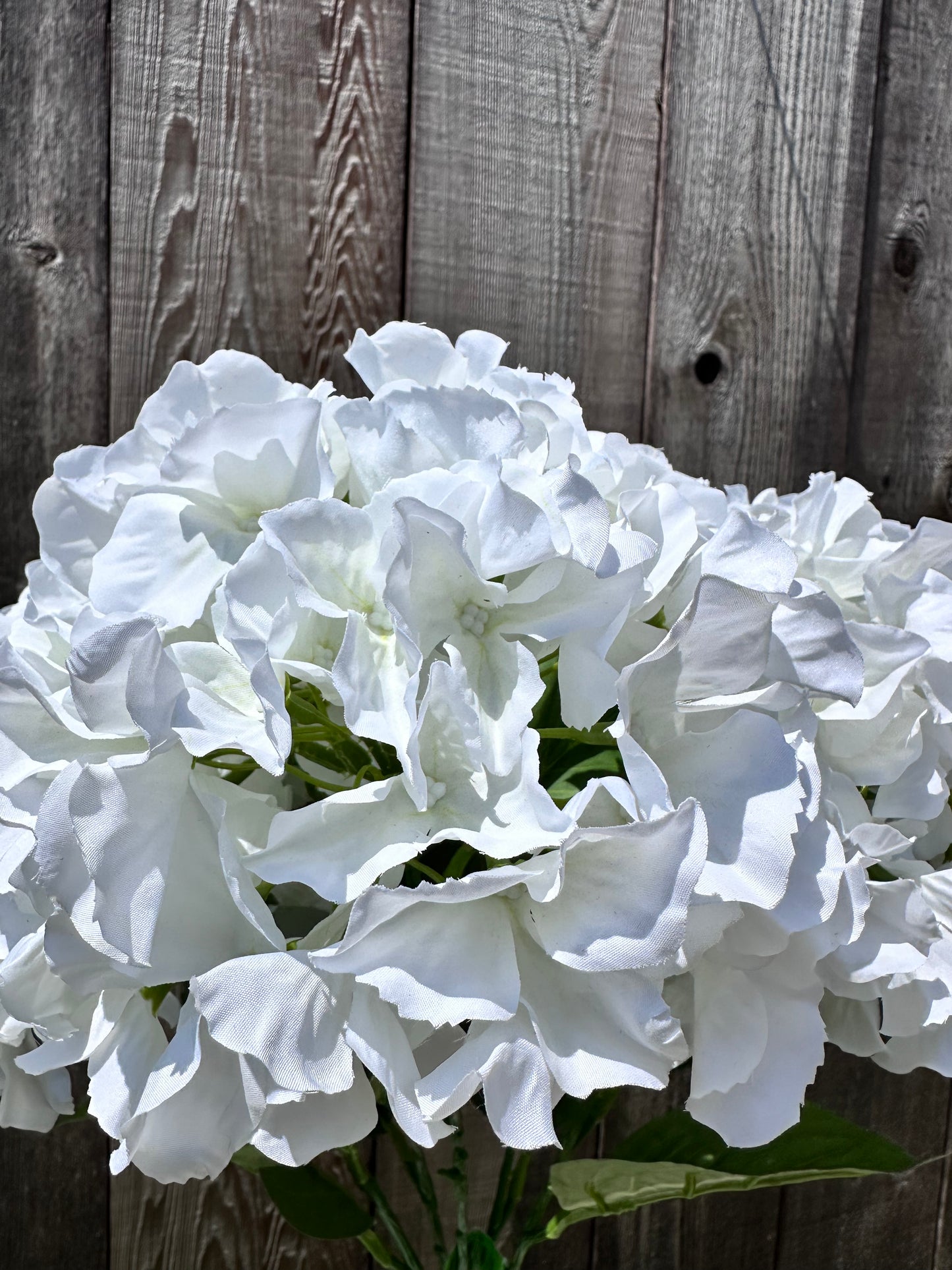 HYDRANGEA BUSH 35147CM