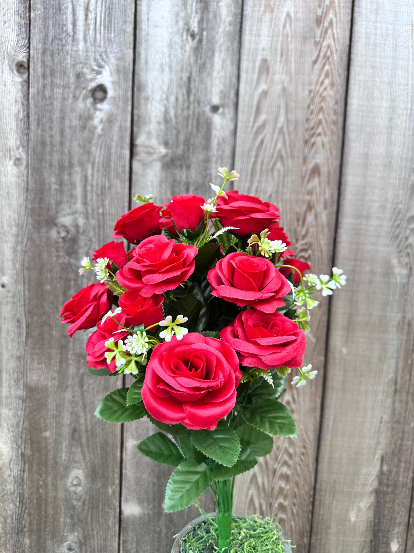 ROSE BUSH SB552036-002
