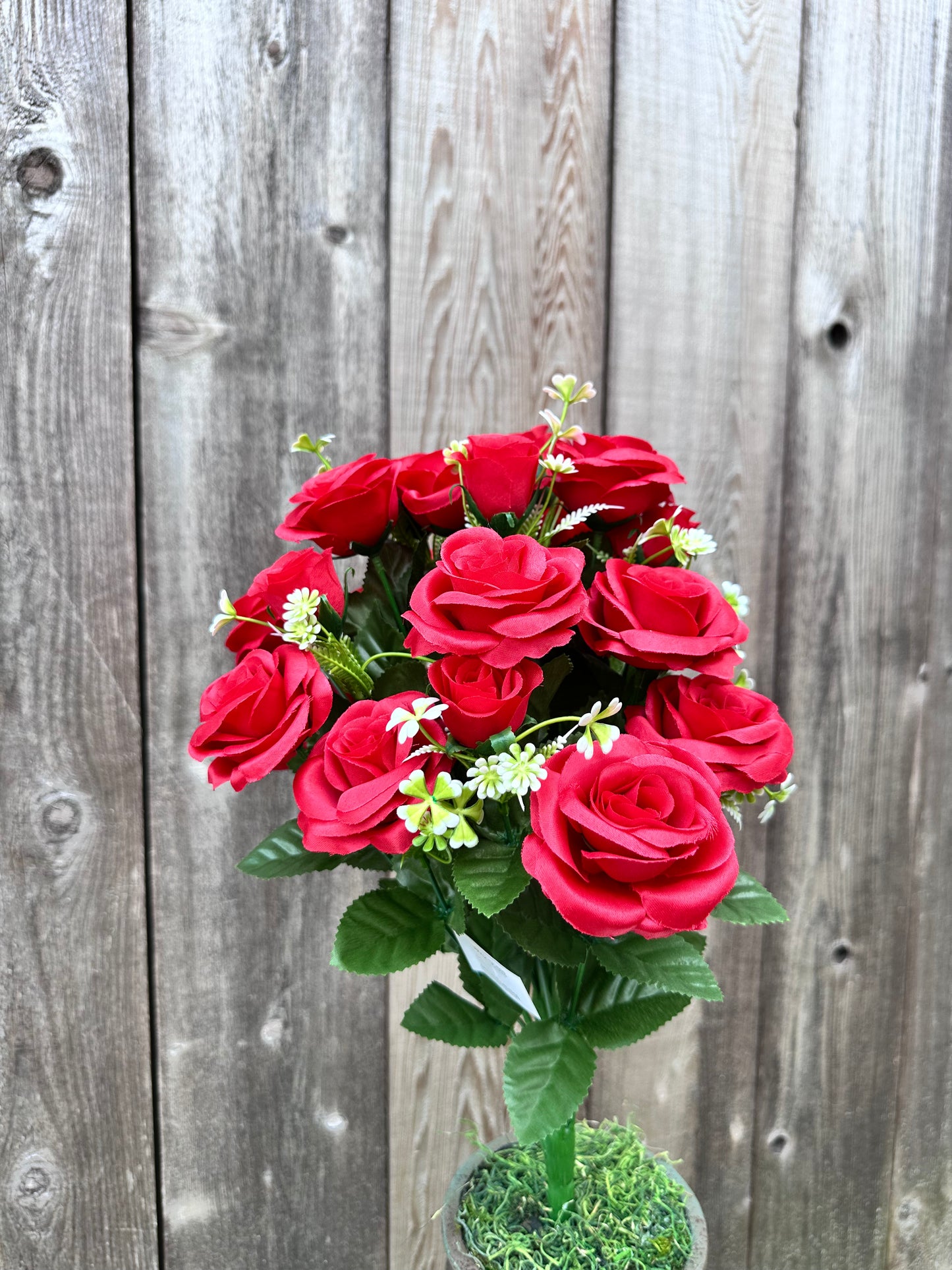 ROSE BUSH SB552036-002