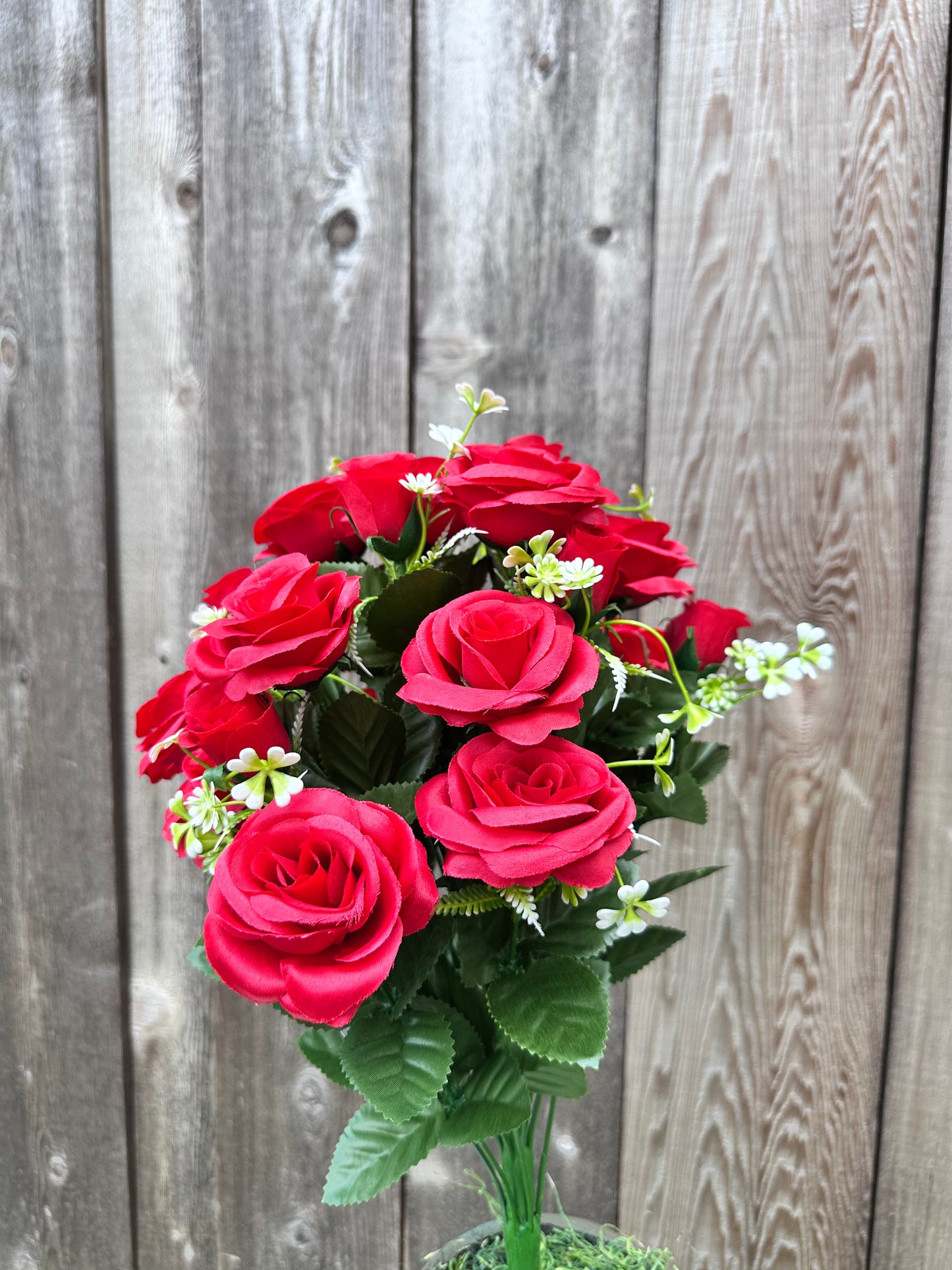 ROSE BUSH SB552036-002