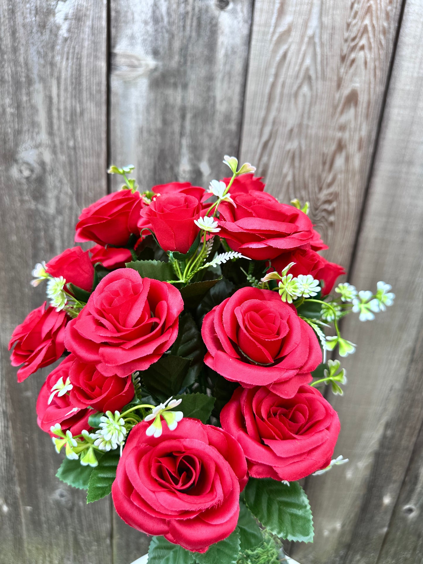 ROSE BUSH SB552036-002