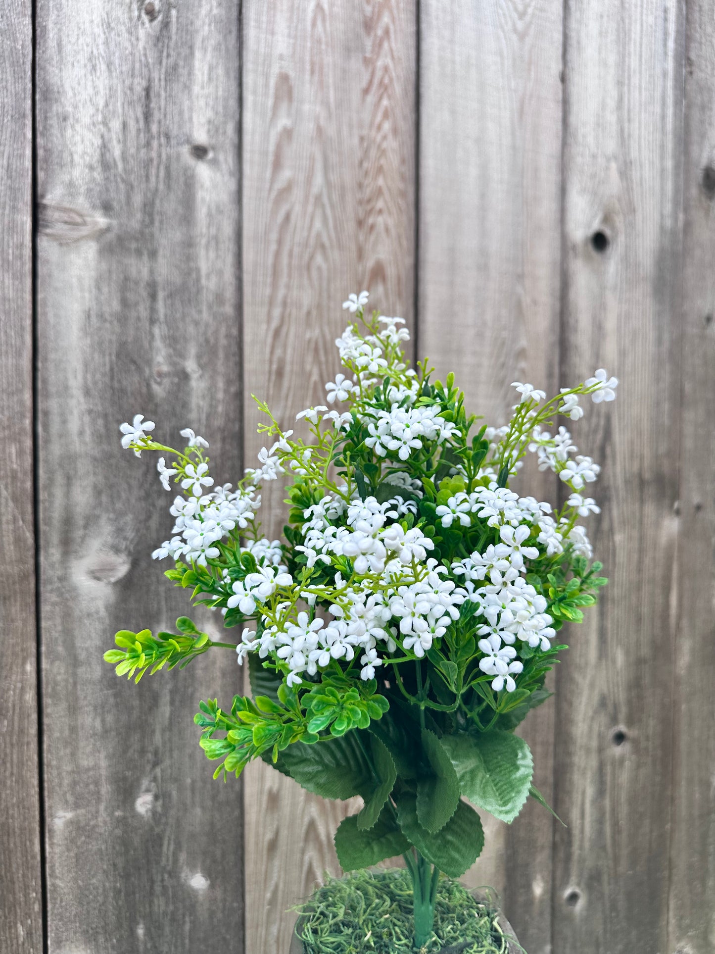 PLASTIC FORGET ME NOT 81192-WT