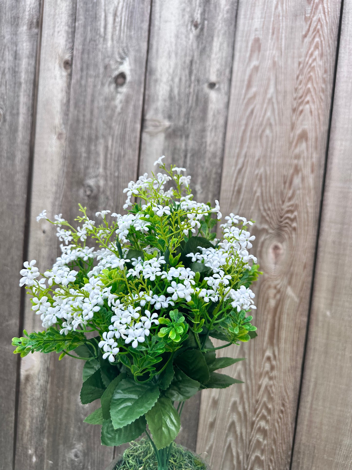 PLASTIC FORGET ME NOT 81192-WT